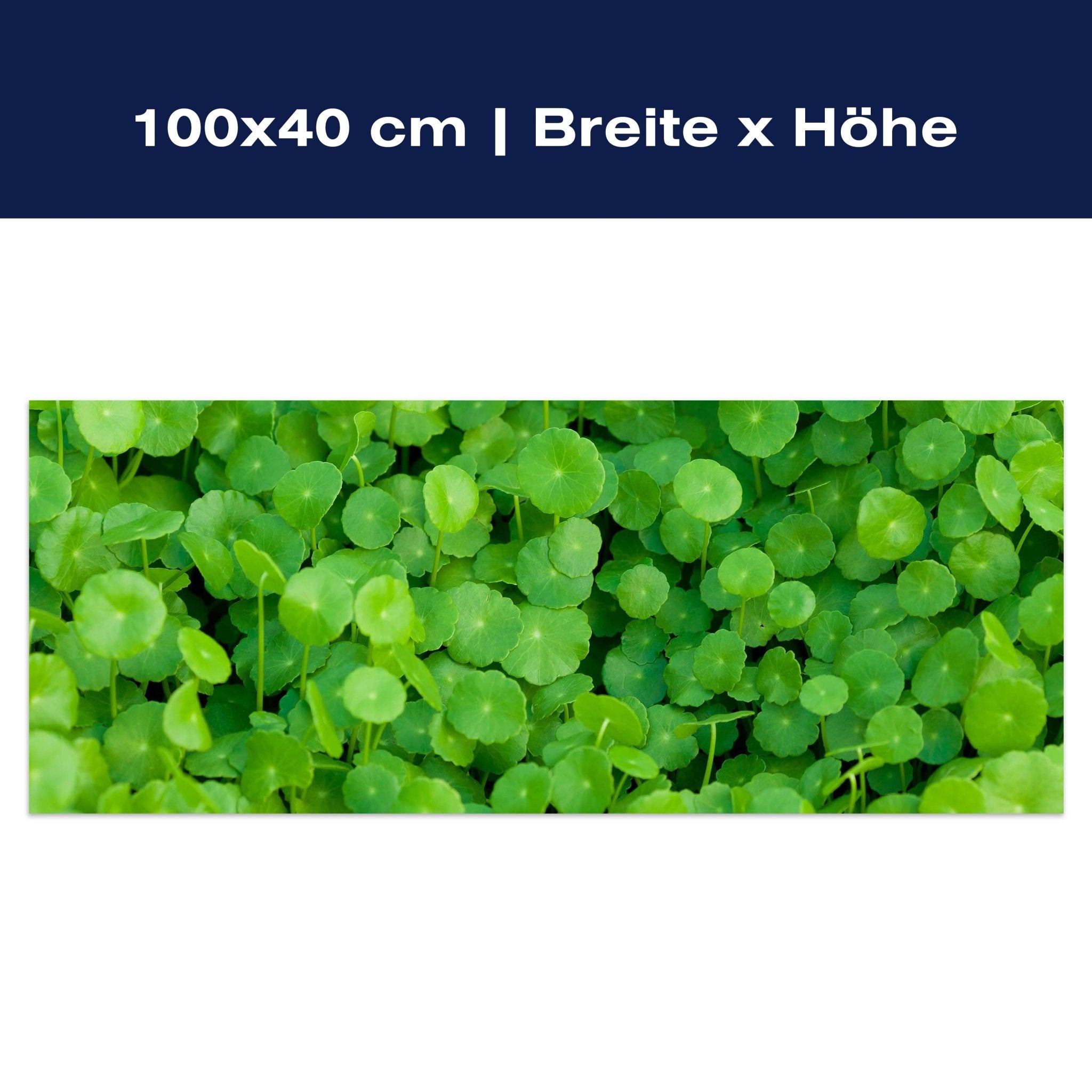 Leinwandbild Grünpflanzen Hintergrund M1046 Leinwandbild Grünpflanzen Hintergrund M1046