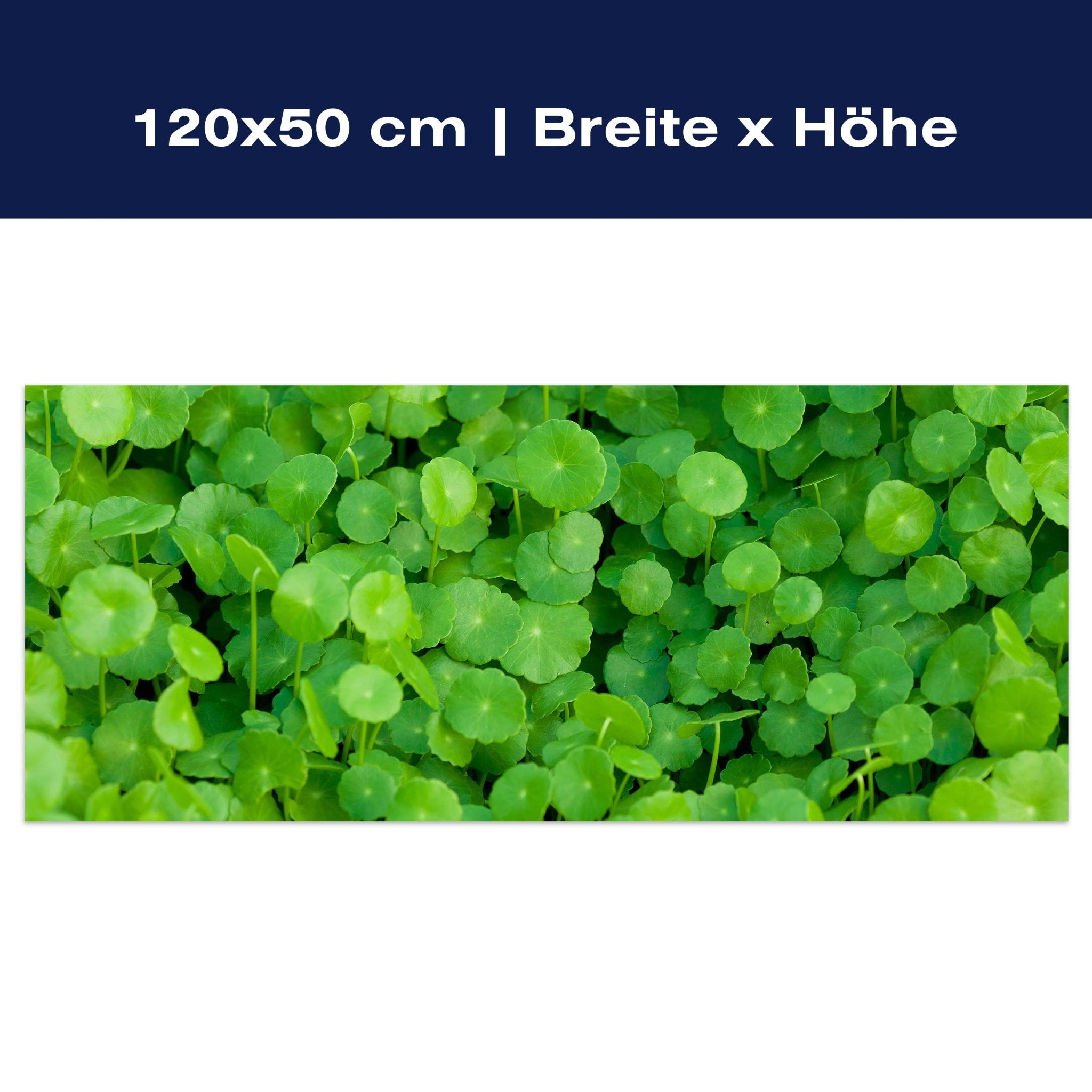 Leinwandbild Grünpflanzen Hintergrund M1046 Leinwandbild Grünpflanzen Hintergrund M1046