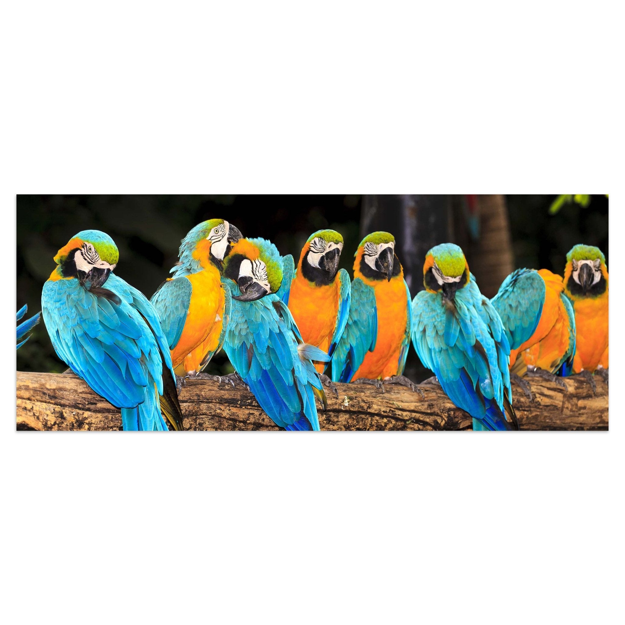 Leinwandbild Aras M1047 kaufen - Bild 1 Leinwandbild Aras M1047 kaufen - Bild 1