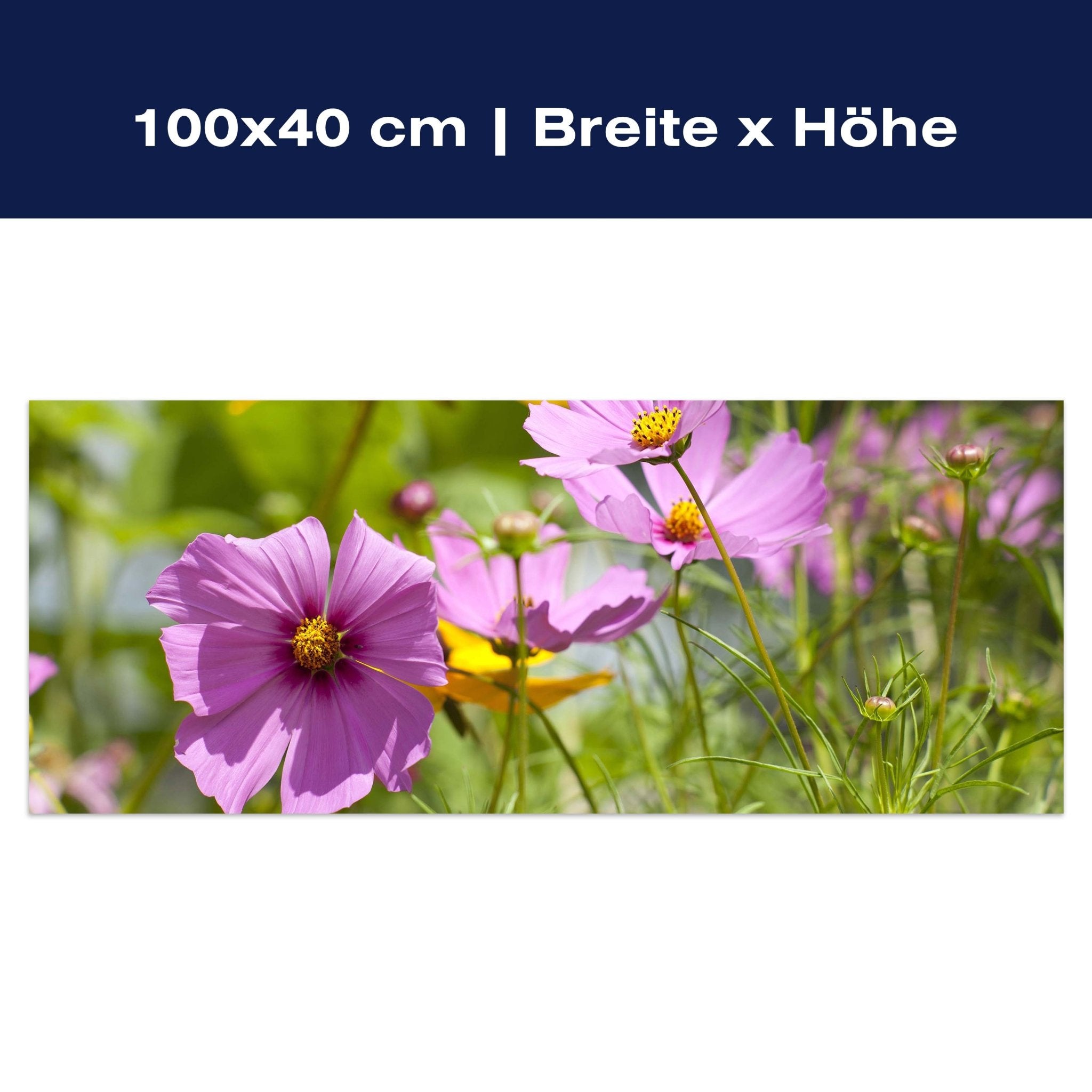 Leinwandbild Schöne Frühlingsblumen M1048 Leinwandbild Schöne Frühlingsblumen M1048