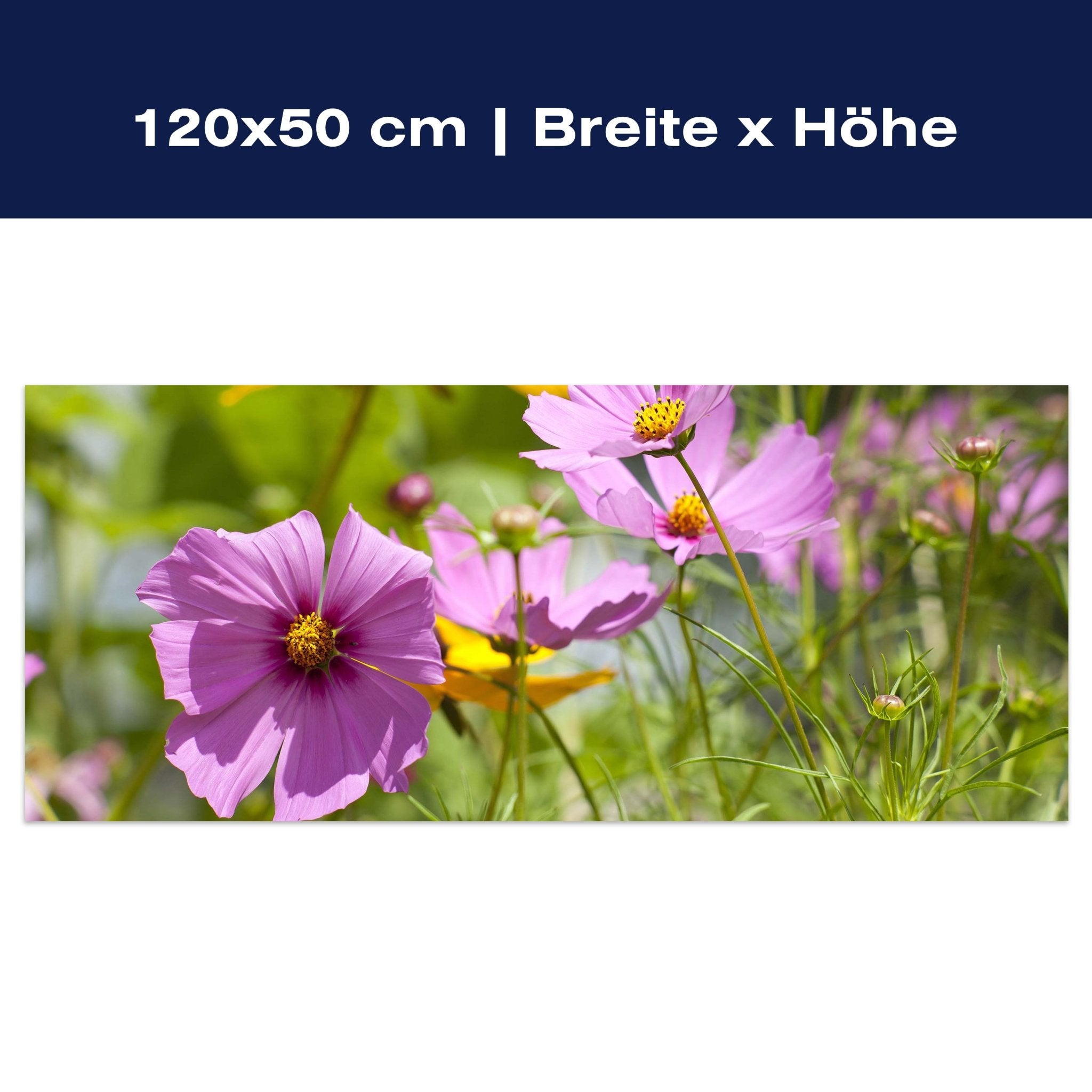 Leinwandbild Schöne Frühlingsblumen M1048 Leinwandbild Schöne Frühlingsblumen M1048