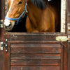 Türtapete Pferd an Stall-tür, Pferde, Tiere, Holz M1070