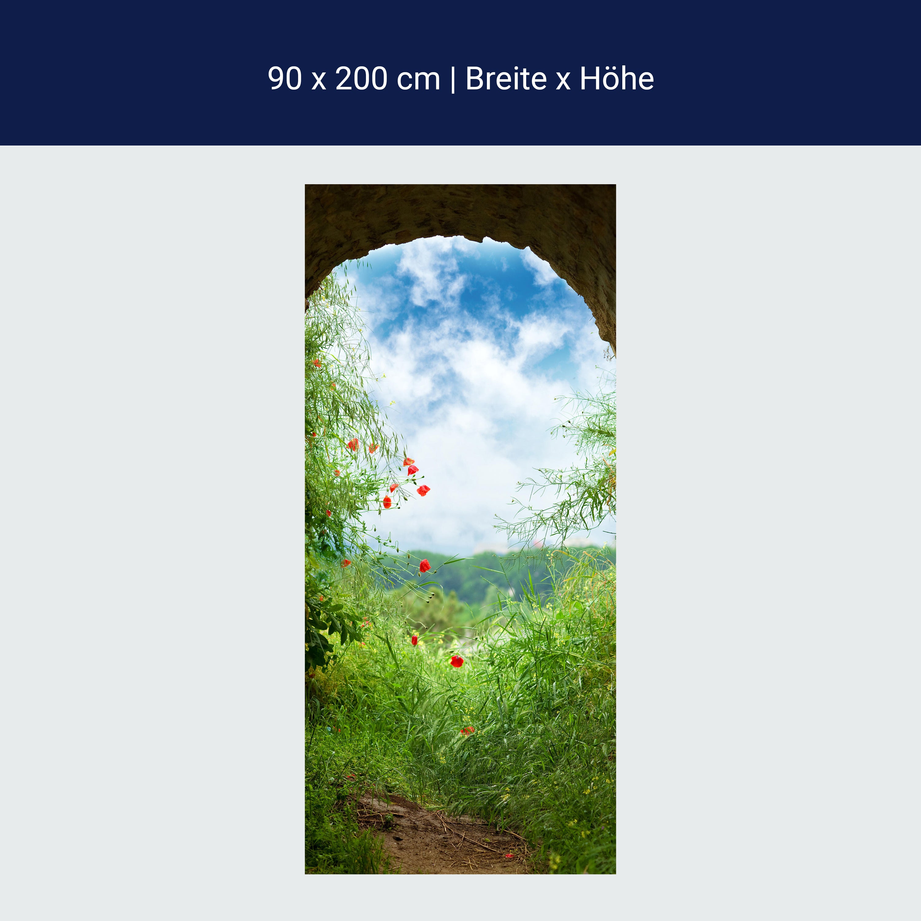 Türtapete Blick aus Tunnel, Wiese, Natur, Blumen M1074 Türtapete Blick aus Tunnel, Wiese, Natur, Blumen M1074