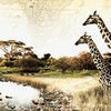 Küchenrückwand Afrika Elefant Giraffe Zebra Savanne M1084