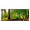 Leinwandbild Bach im Wald, Natur, Grün, Bäume, Wasser M1087