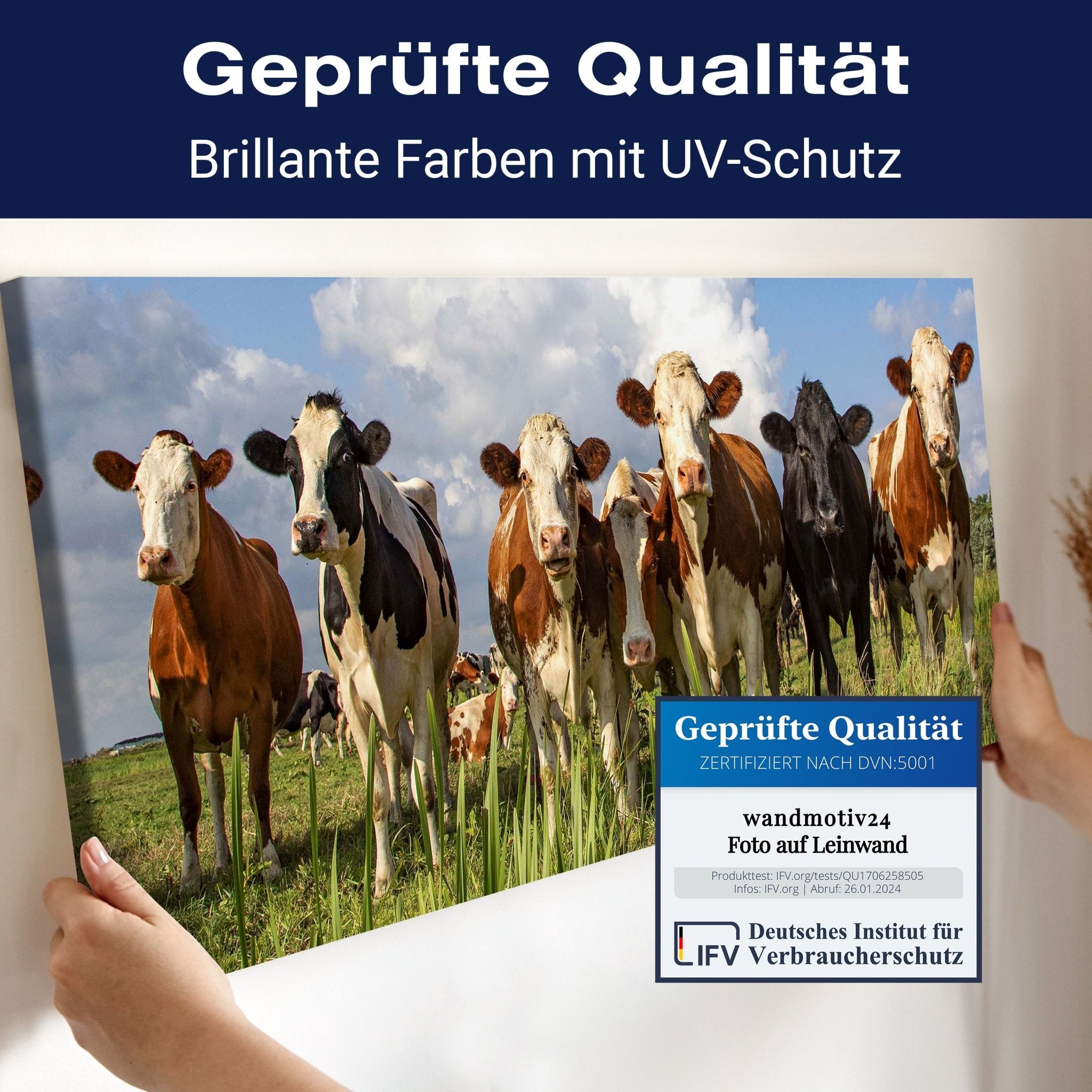 Leinwandbild Kühe auf der Weide, Tiere, Rinder, Kuh M1093 kaufen - Bild 4 Leinwandbild Kühe auf der Weide, Tiere, Rinder, Kuh M1093 kaufen - Bild 4