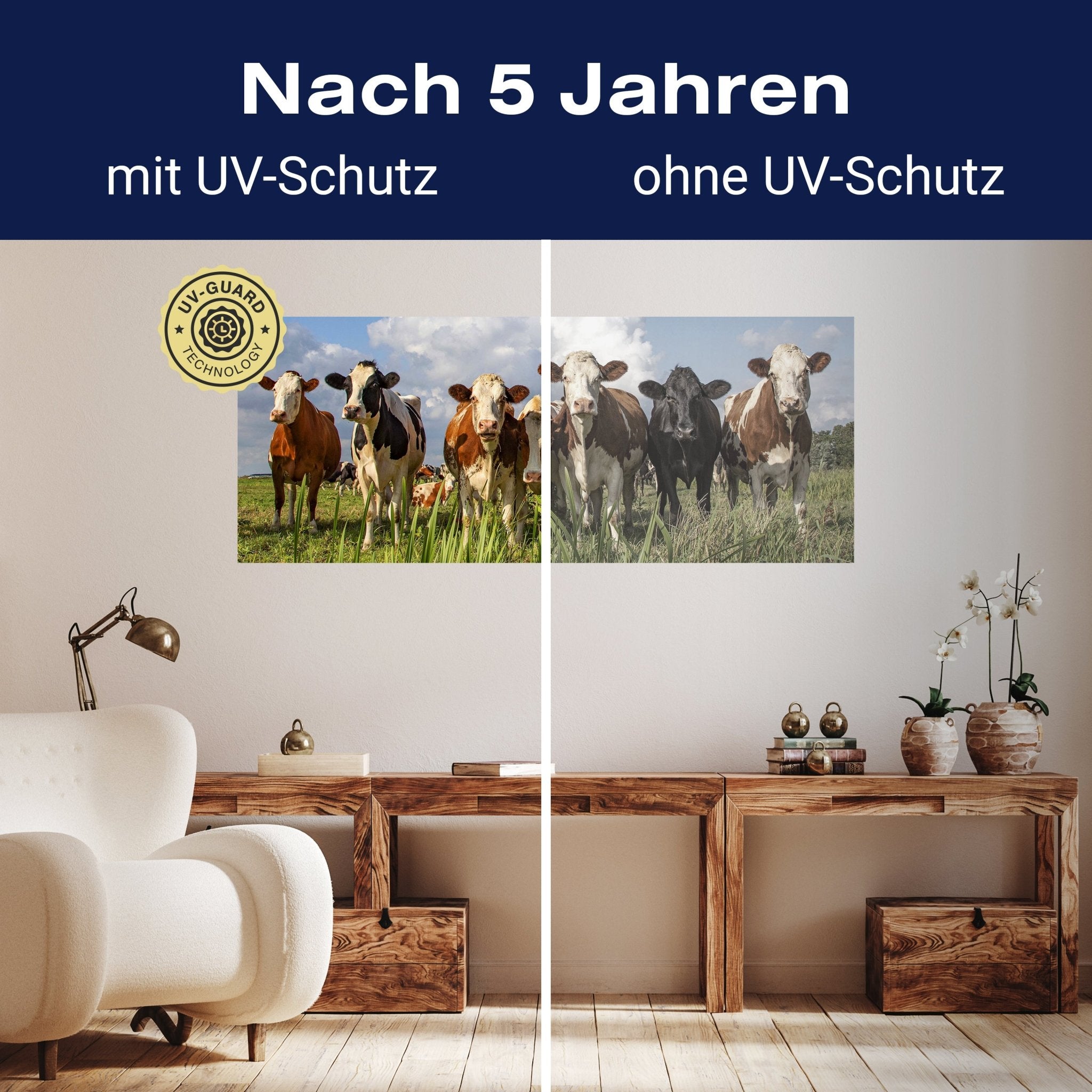 Leinwandbild Kühe auf der Weide, Tiere, Rinder, Kuh M1093 kaufen - Bild 9 Leinwandbild Kühe auf der Weide, Tiere, Rinder, Kuh M1093 kaufen - Bild 9