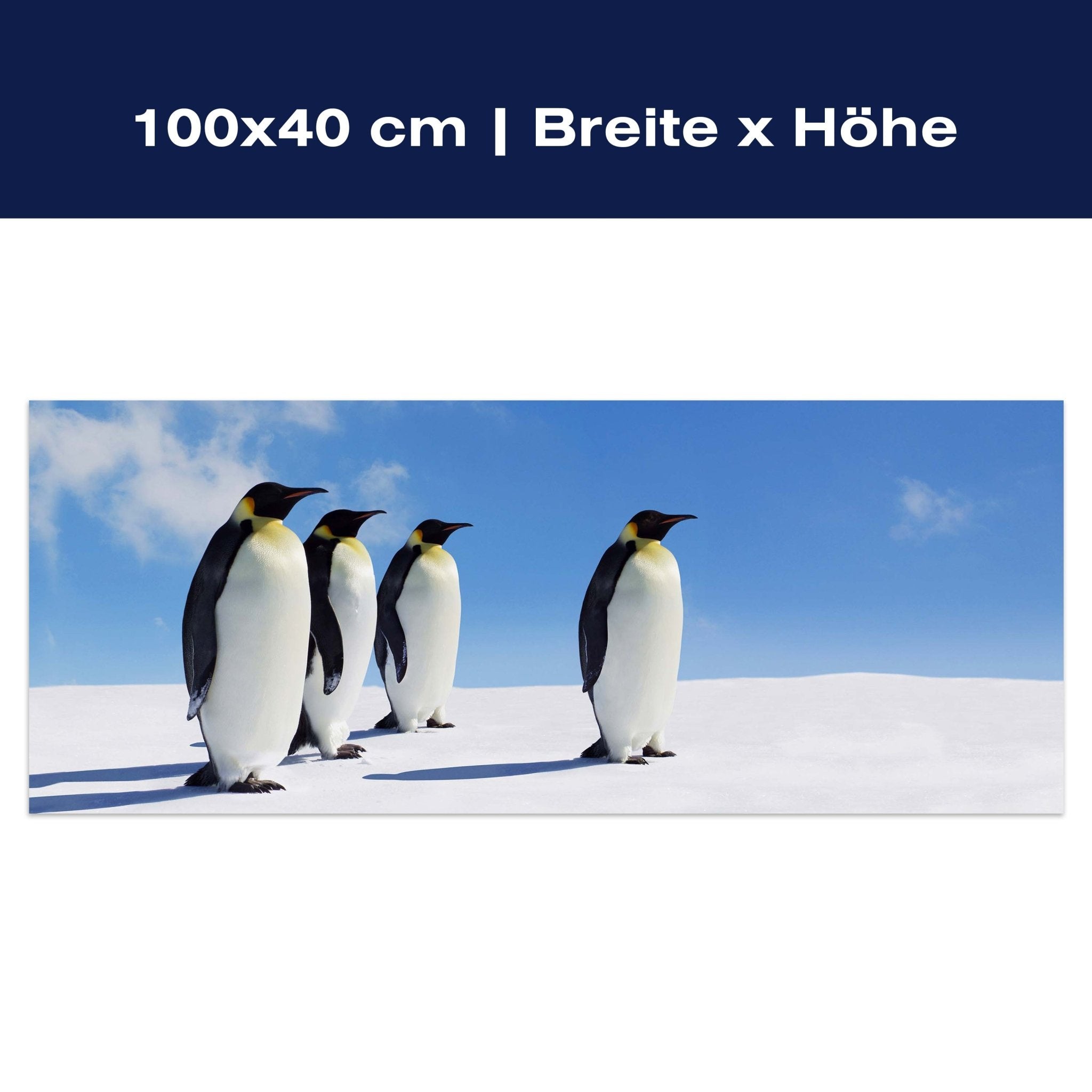 Leinwandbild Königspinguine, Pinguine, Eis, Tiere M1095 Leinwandbild Königspinguine, Pinguine, Eis, Tiere M1095