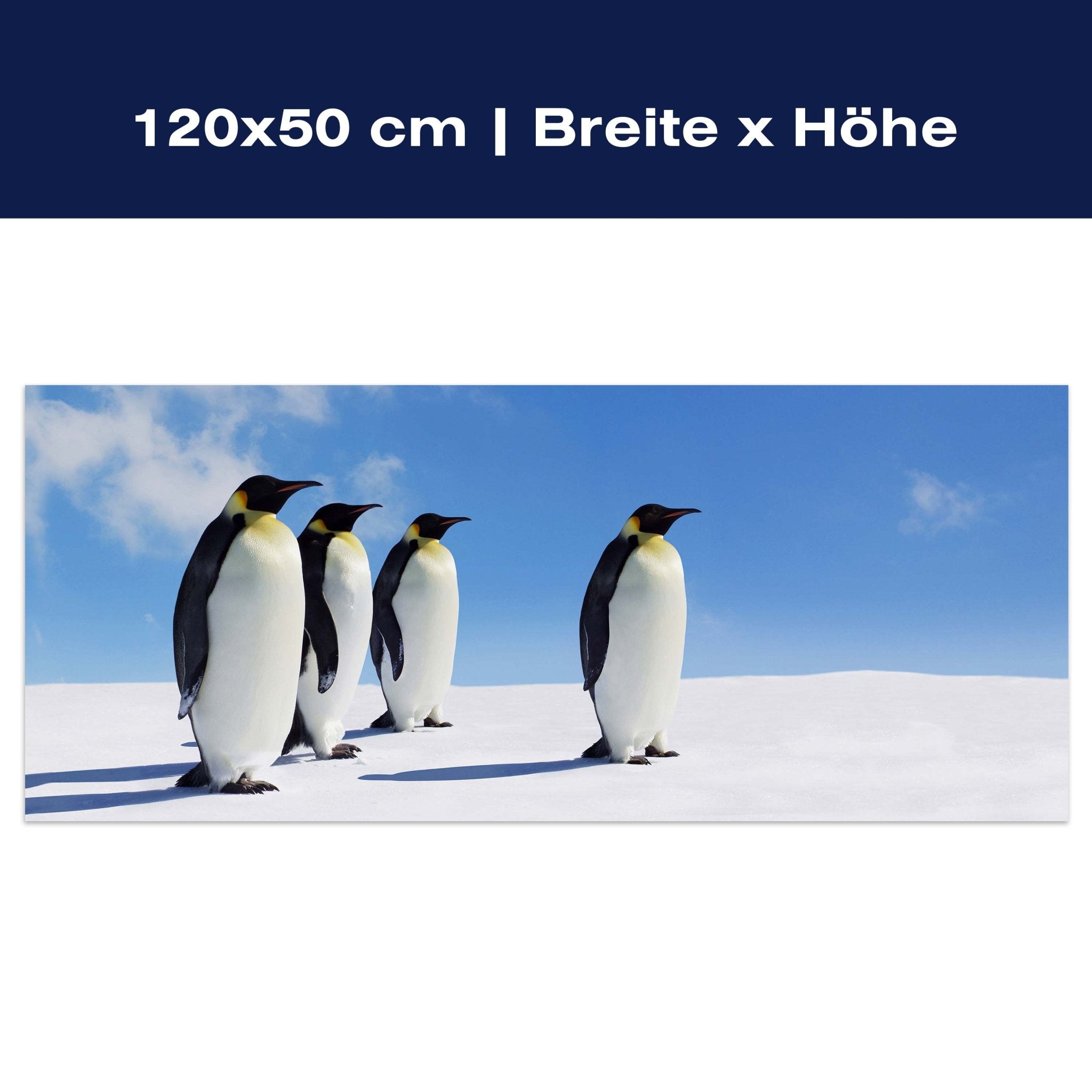 Leinwandbild Königspinguine, Pinguine, Eis, Tiere M1095 Leinwandbild Königspinguine, Pinguine, Eis, Tiere M1095