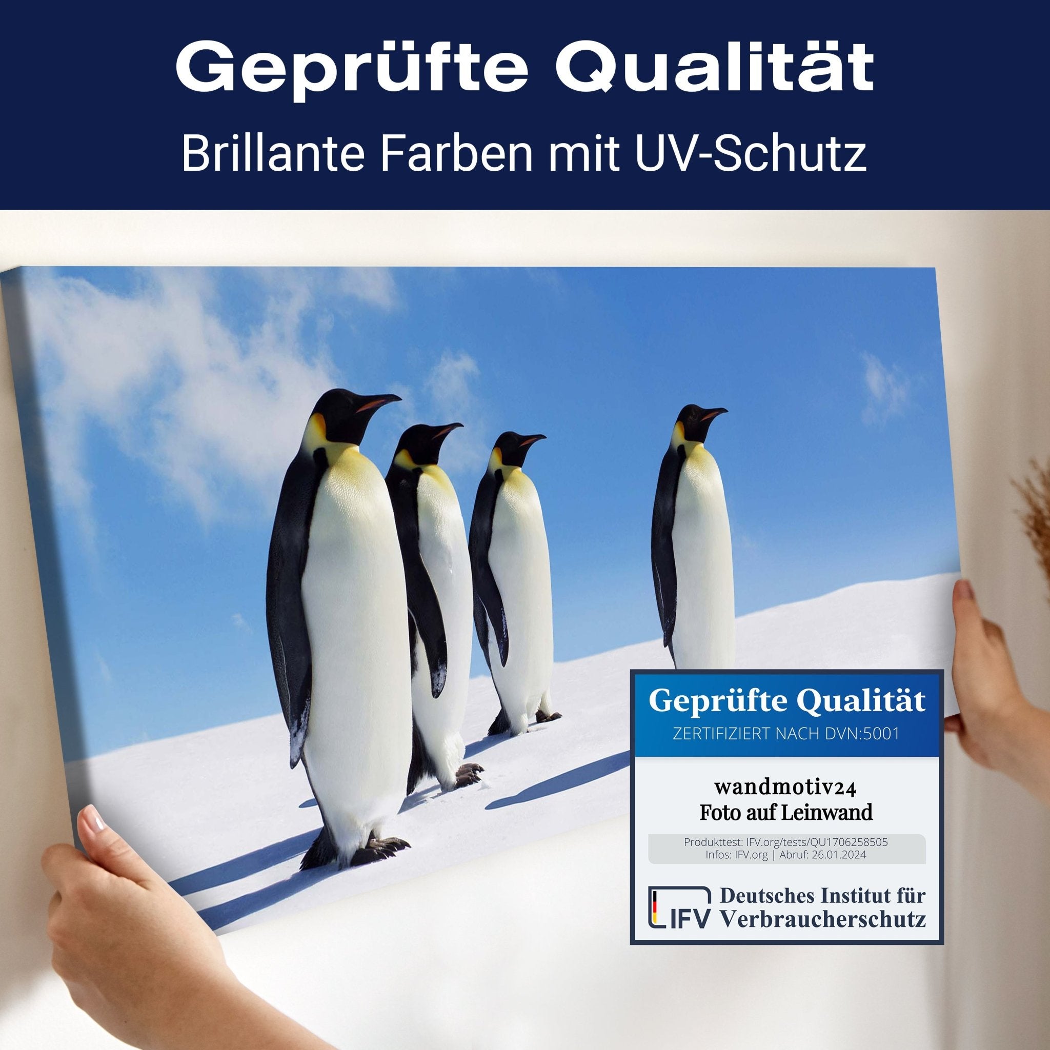 Leinwandbild Königspinguine, Pinguine, Eis, Tiere M1095 kaufen - Bild 4 Leinwandbild Königspinguine, Pinguine, Eis, Tiere M1095 kaufen - Bild 4