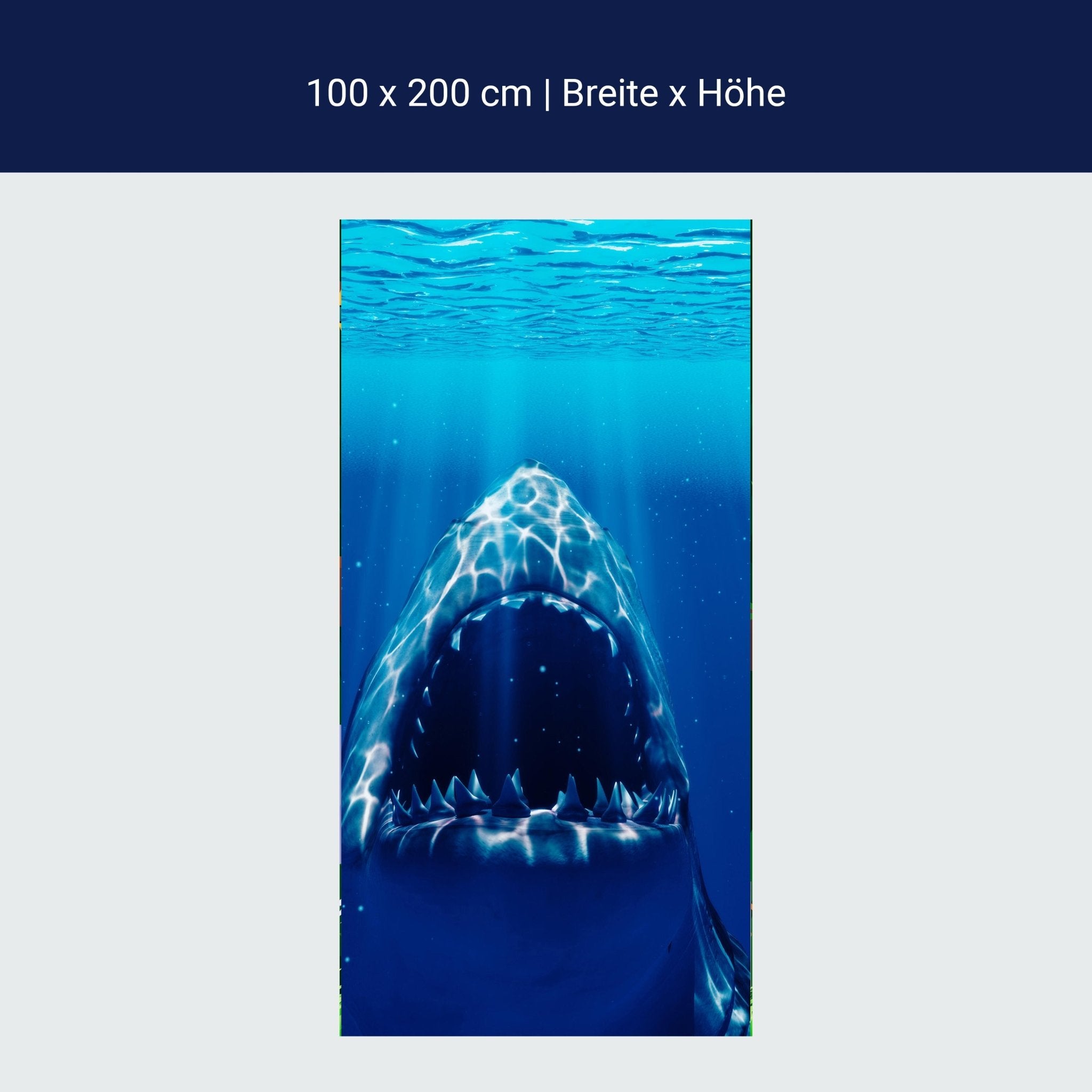 Türtapete Großer Weißer Hai Unter-wasser, Zähne M1107 Türtapete Großer Weißer Hai Unter-wasser, Zähne M1107