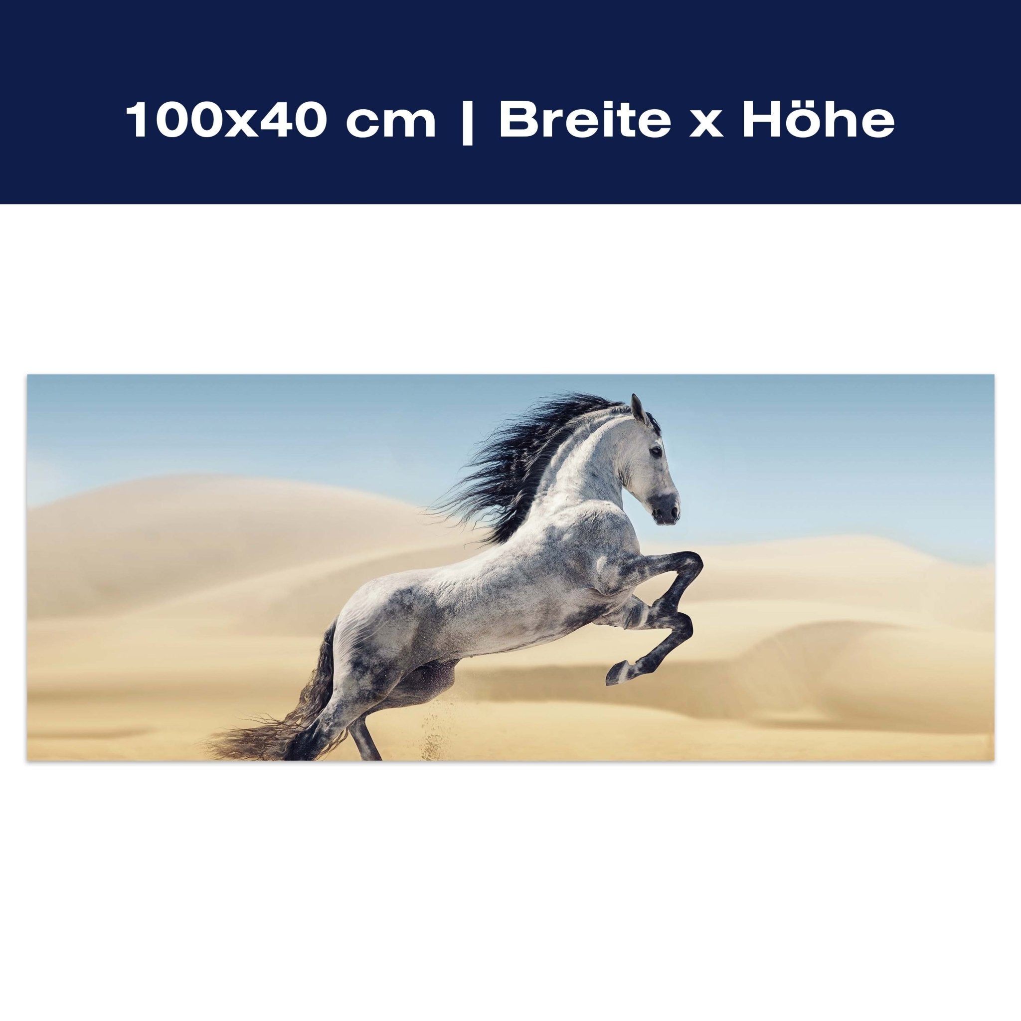 Leinwandbild Pferd, weiß, grau, Sand, Wüste M1110