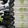 Küchenrückwand Steine schwarz Bambus grün Tropfen Wasse M1111