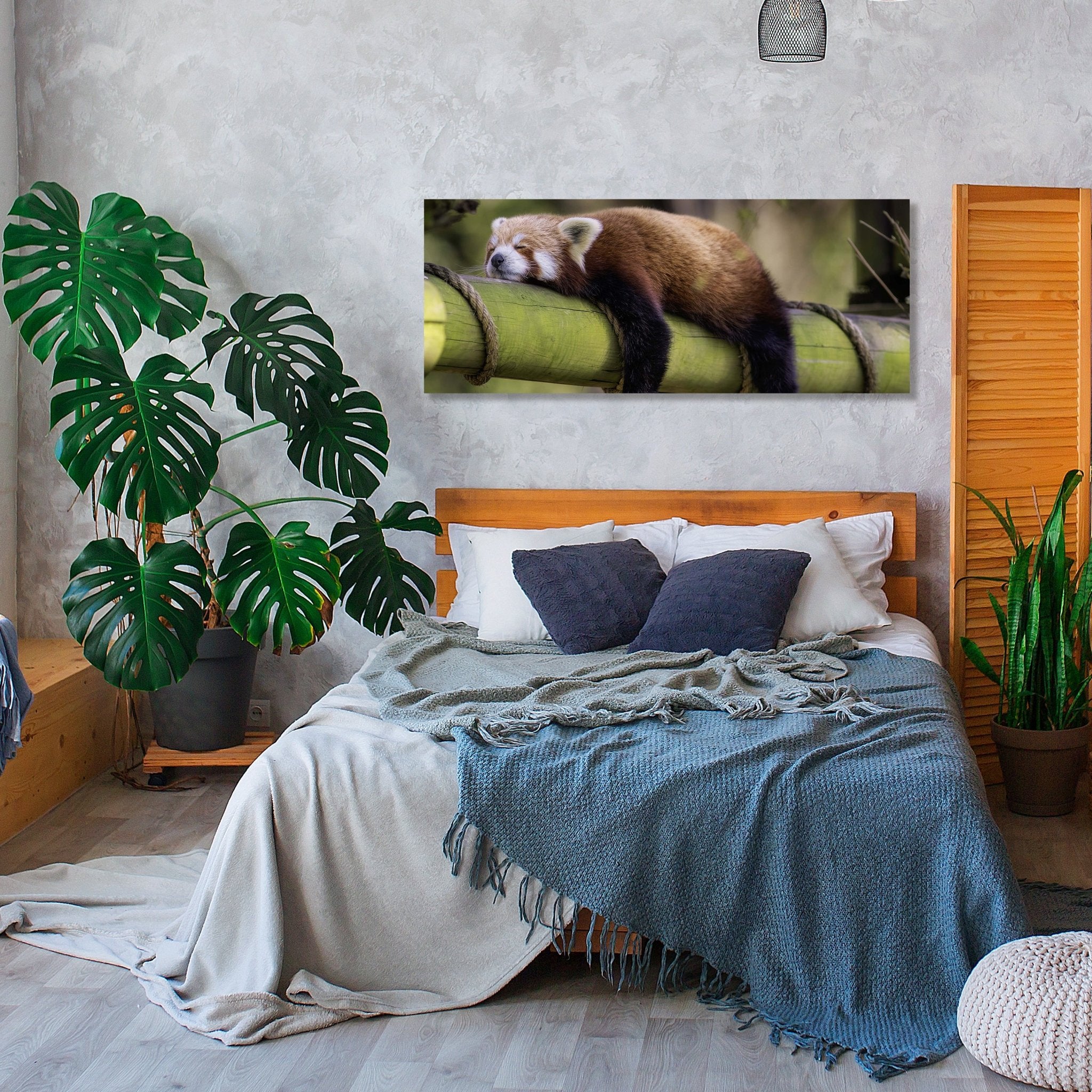 Leinwandbild schlafender roter Panda, Bambus M1114 kaufen - Bild 2