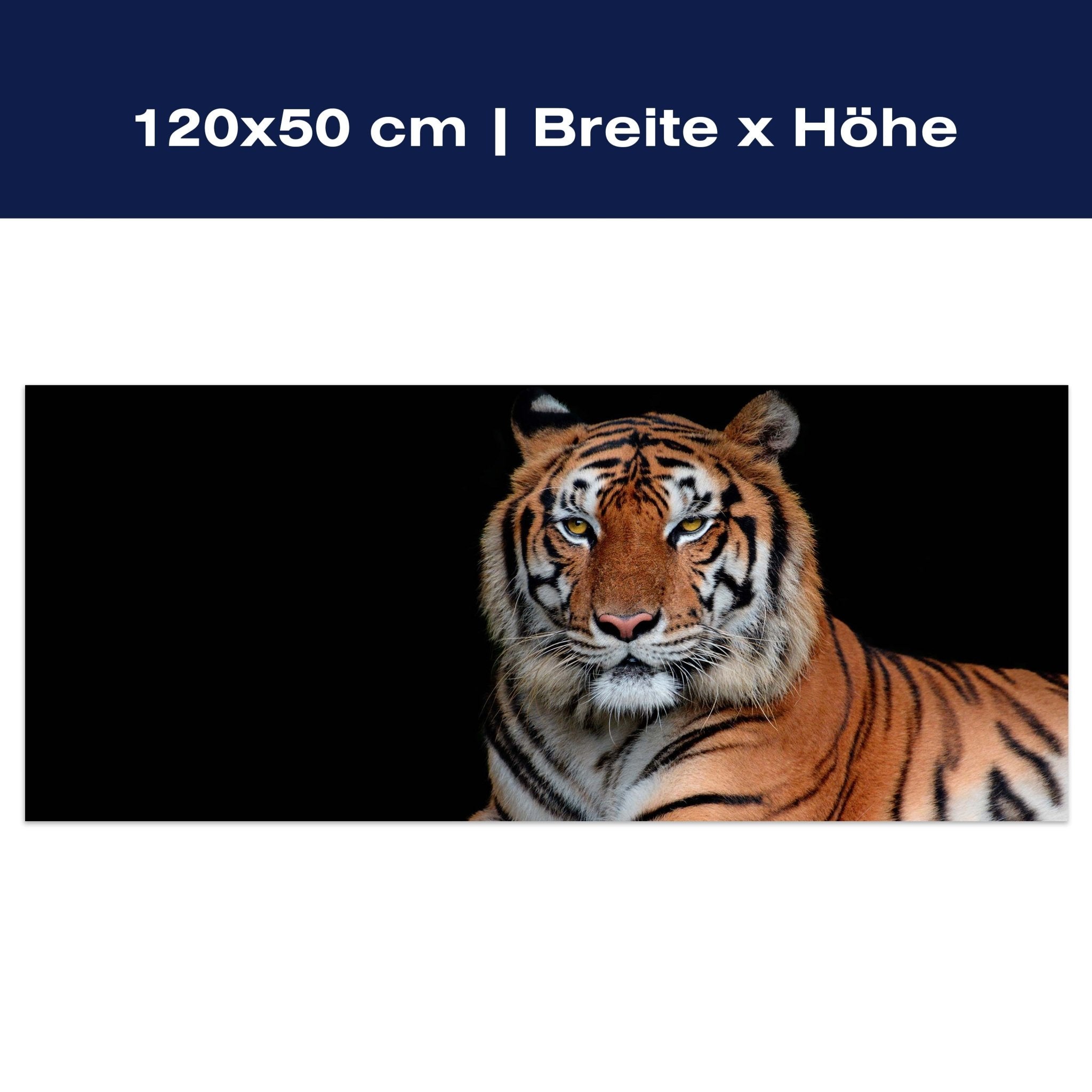 Leinwandbild Tiger, Tier, schwarz, orange M1117 Leinwandbild Tiger, Tier, schwarz, orange M1117