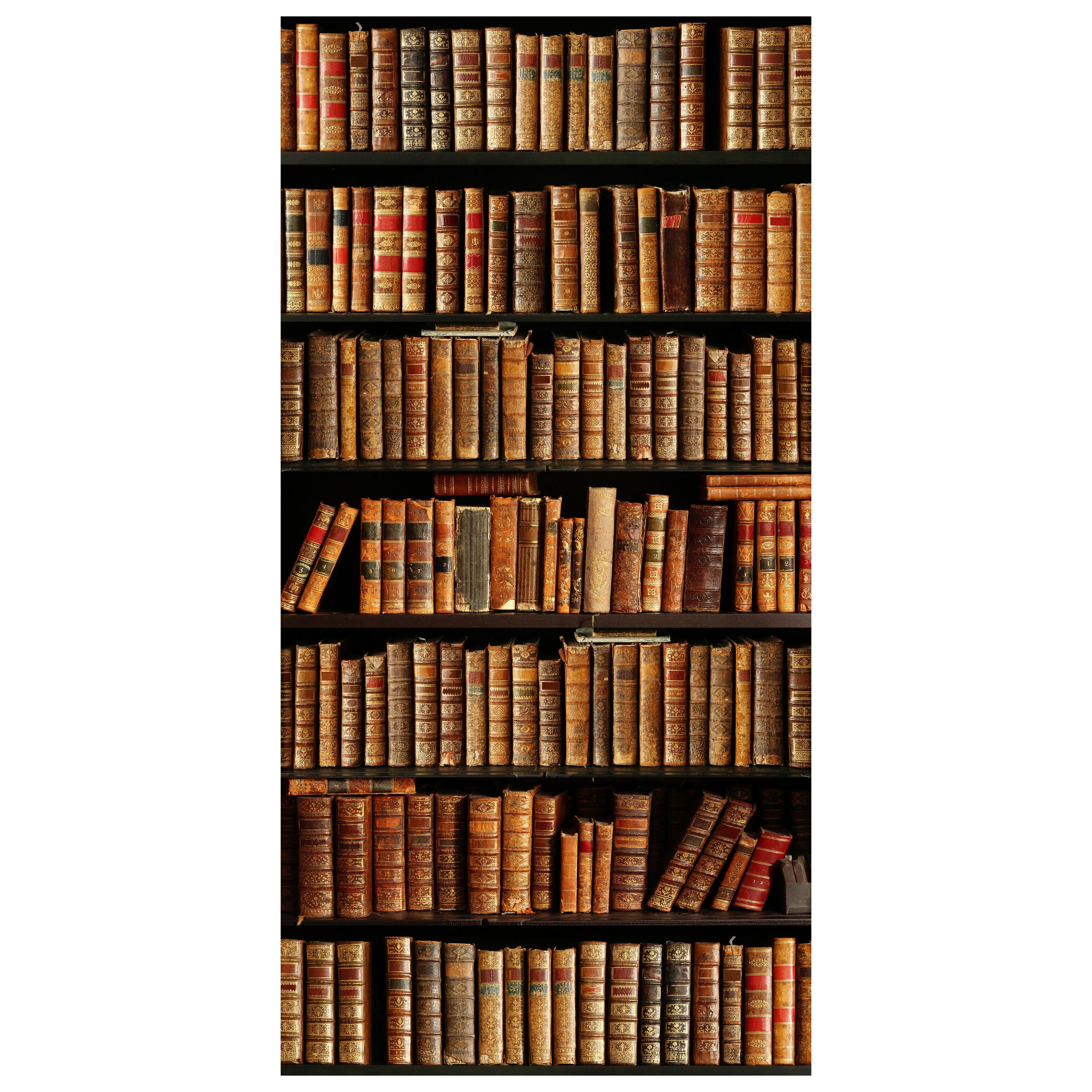Türtapete altes Bücher-regal, Schrank, Buch, Roman M1117 - Bild 2 Türtapete altes Bücher-regal, Schrank, Buch, Roman M1117 - Bild 2