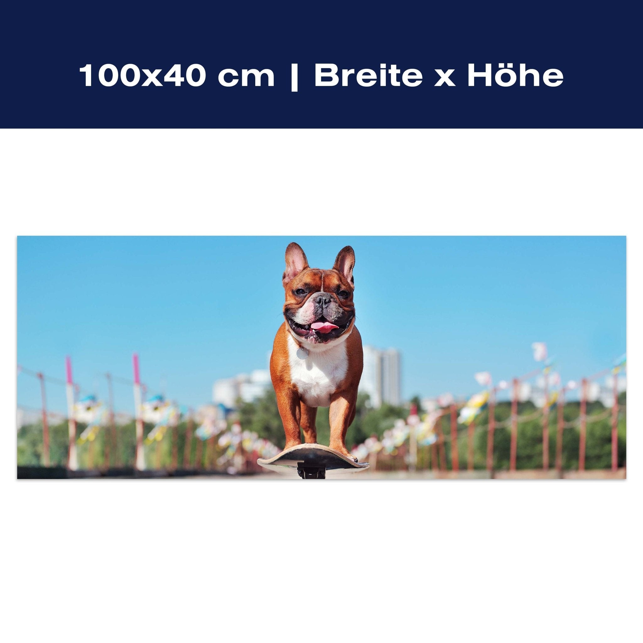 Leinwandbild französische Bulldogge, Hund, Skateboard M1118 Leinwandbild französische Bulldogge, Hund, Skateboard M1118