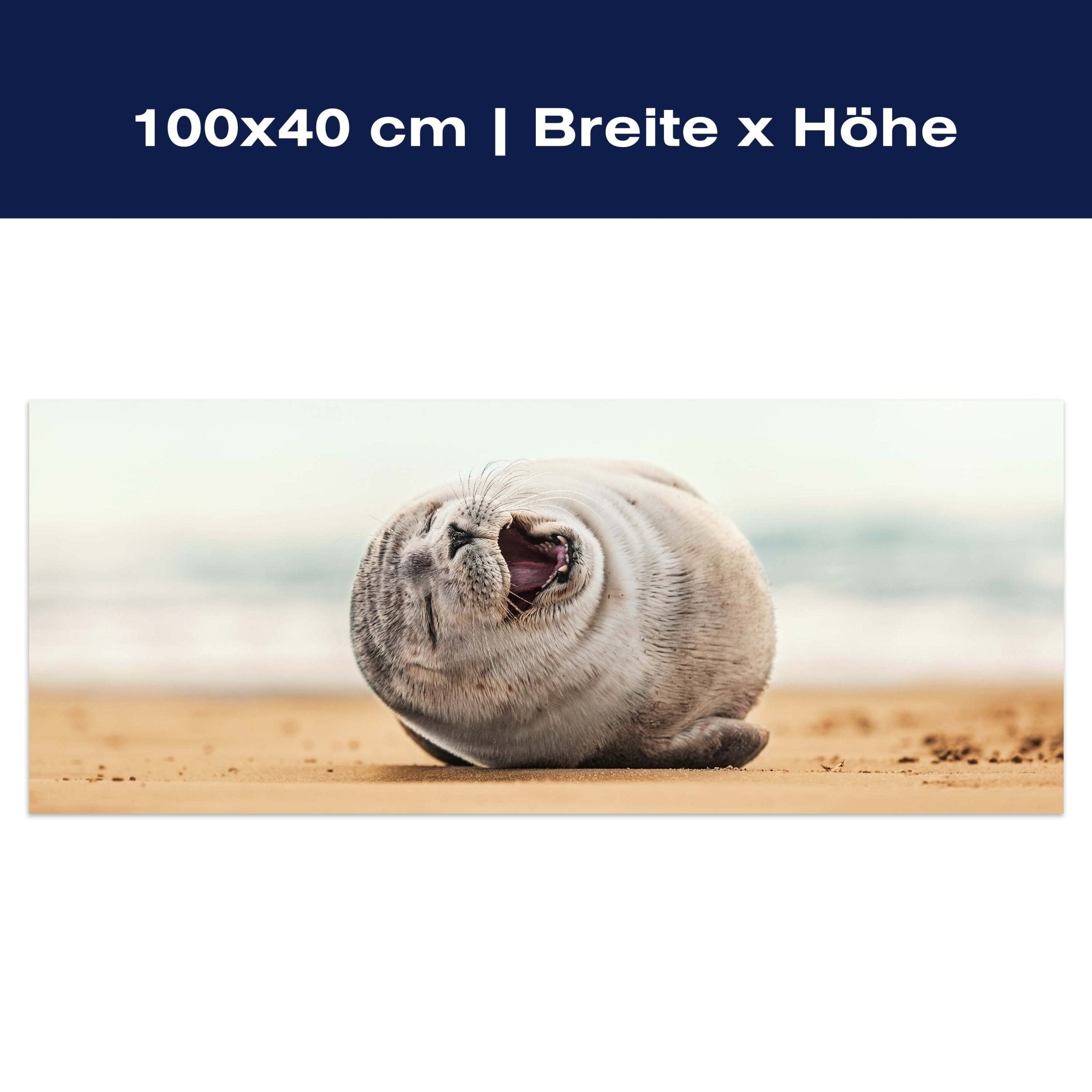 Leinwandbild Robbe, Seehund, Strand, Tier M1119 Leinwandbild Robbe, Seehund, Strand, Tier M1119