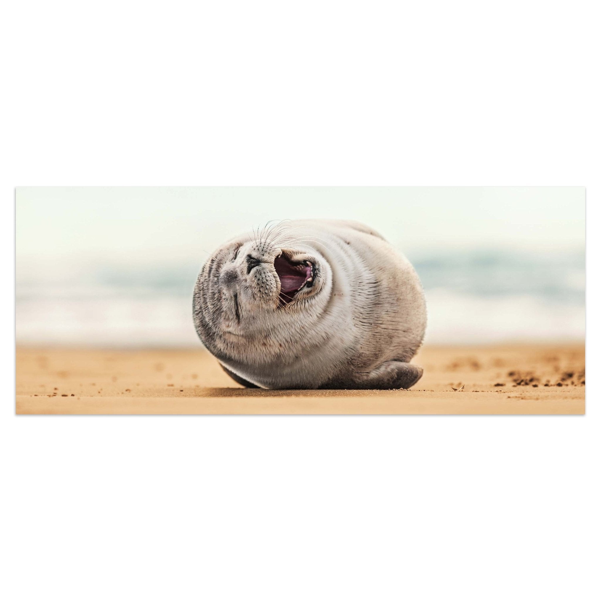 Leinwandbild Robbe, Seehund, Strand, Tier M1119 kaufen - Bild 1 Leinwandbild Robbe, Seehund, Strand, Tier M1119 kaufen - Bild 1