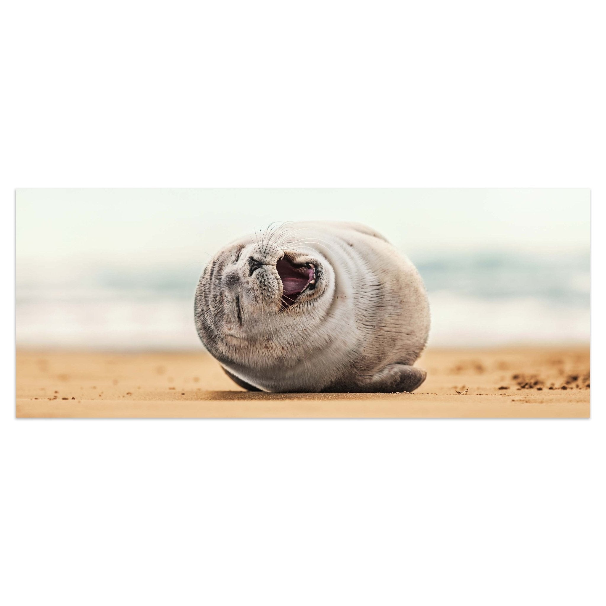 Leinwandbild Robbe, Seehund, Strand, Tier M1119 kaufen - Bild 1