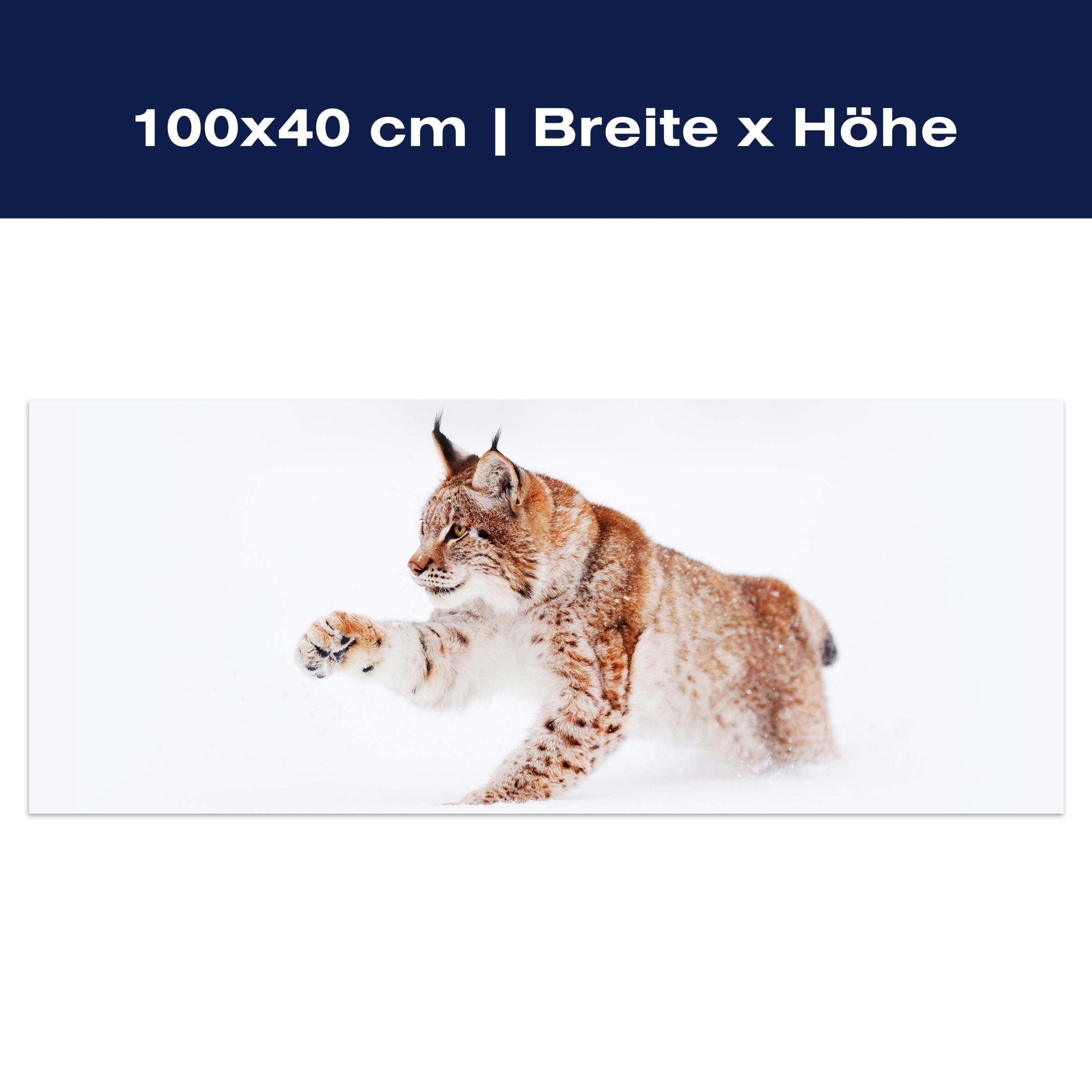 Leinwandbild Luchs im Schnee, Raubkatze M1121 Leinwandbild Luchs im Schnee, Raubkatze M1121