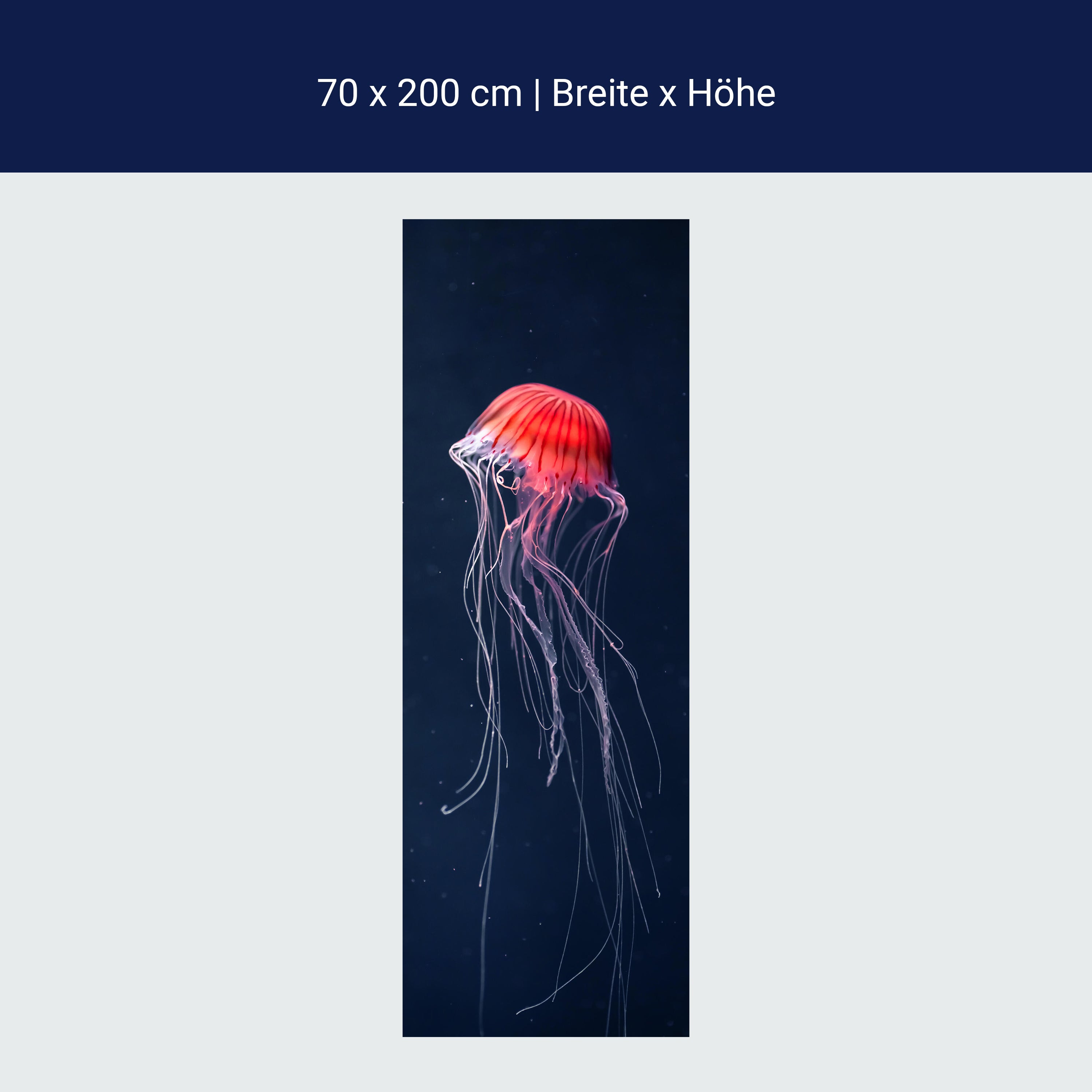 Türtapete Rote Qualle im Meer, Dunkelheit, Tier M1121 Türtapete Rote Qualle im Meer, Dunkelheit, Tier M1121