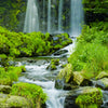 Türtapete Wasserfall im Dschungel, Wald, Wasser M1122
