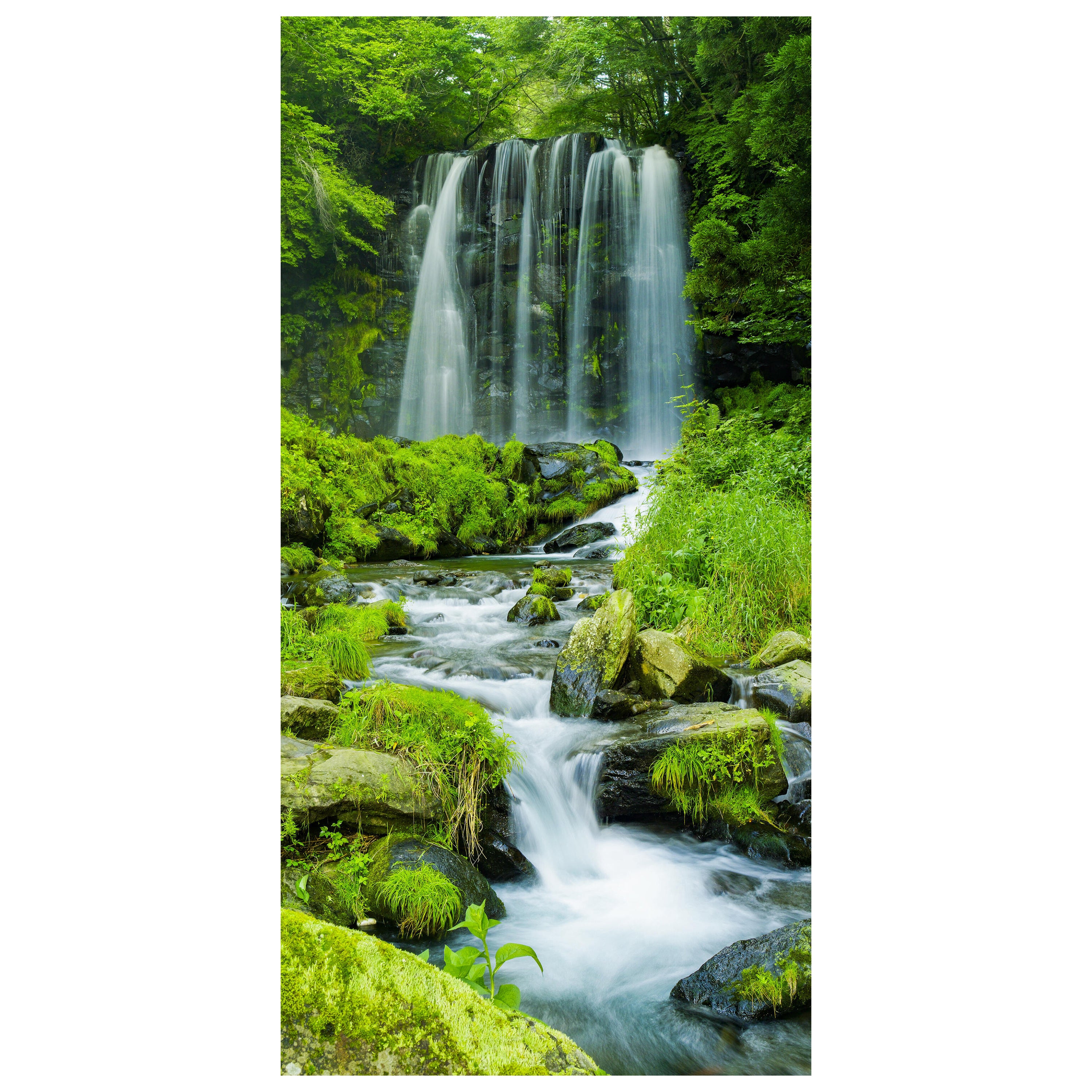 Türtapete Wasserfall im Dschungel, Wald, Wasser M1122 - Bild 2 Türtapete Wasserfall im Dschungel, Wald, Wasser M1122 - Bild 2