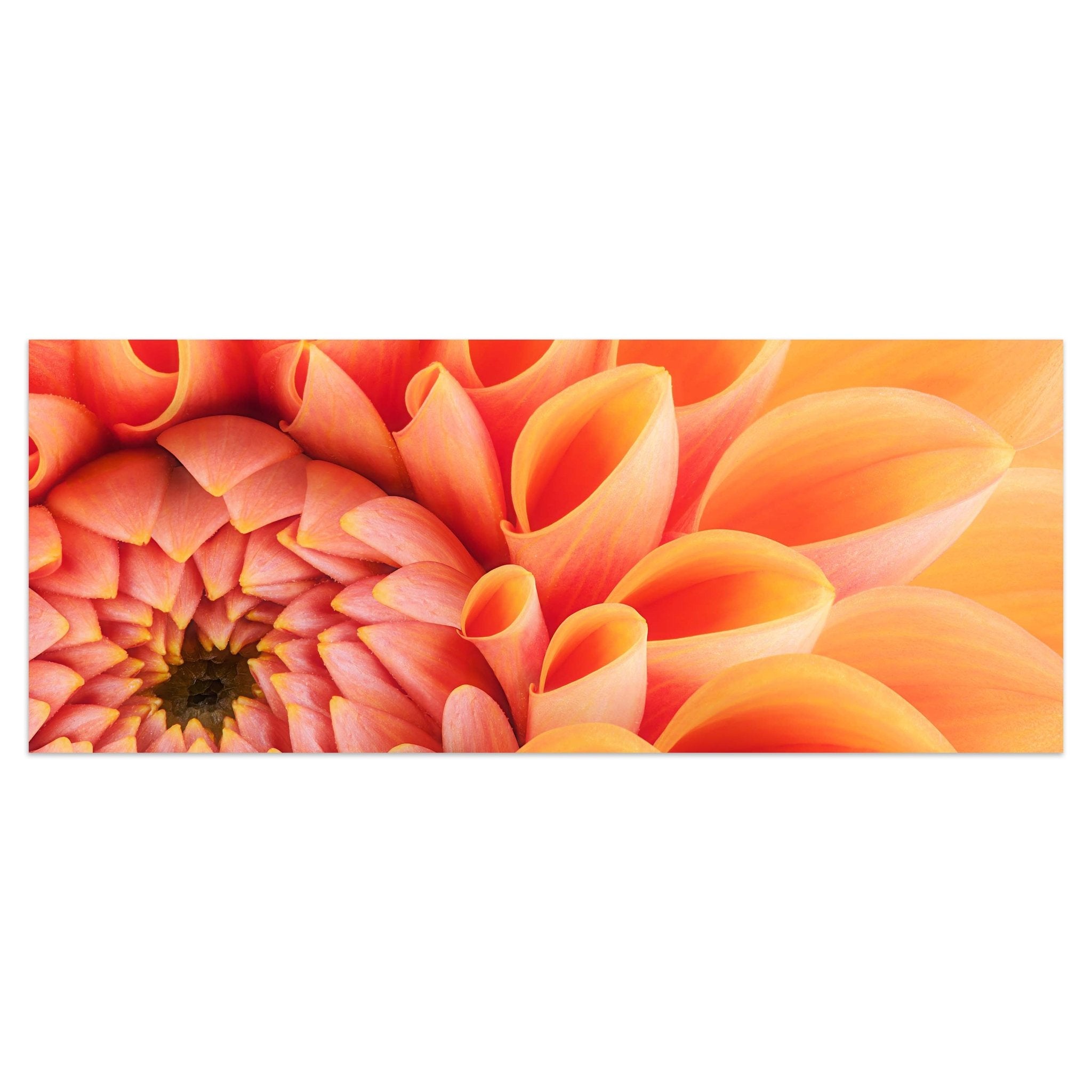 Leinwandbild Blume Blüte orange Chrysantheme M1124 kaufen - Bild 1