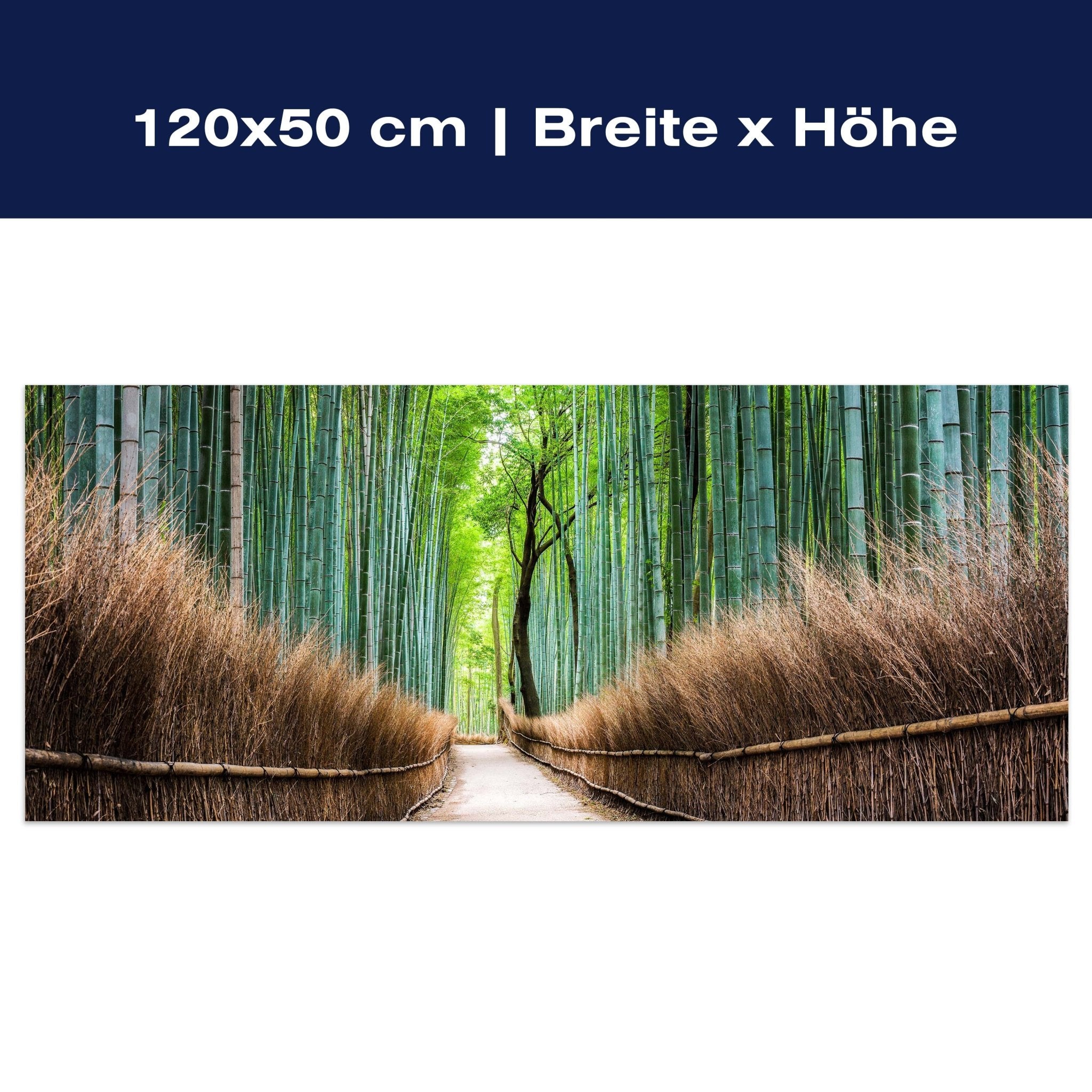Leinwandbild Bambus Weg Wald Zaun M1126 Leinwandbild Bambus Weg Wald Zaun M1126