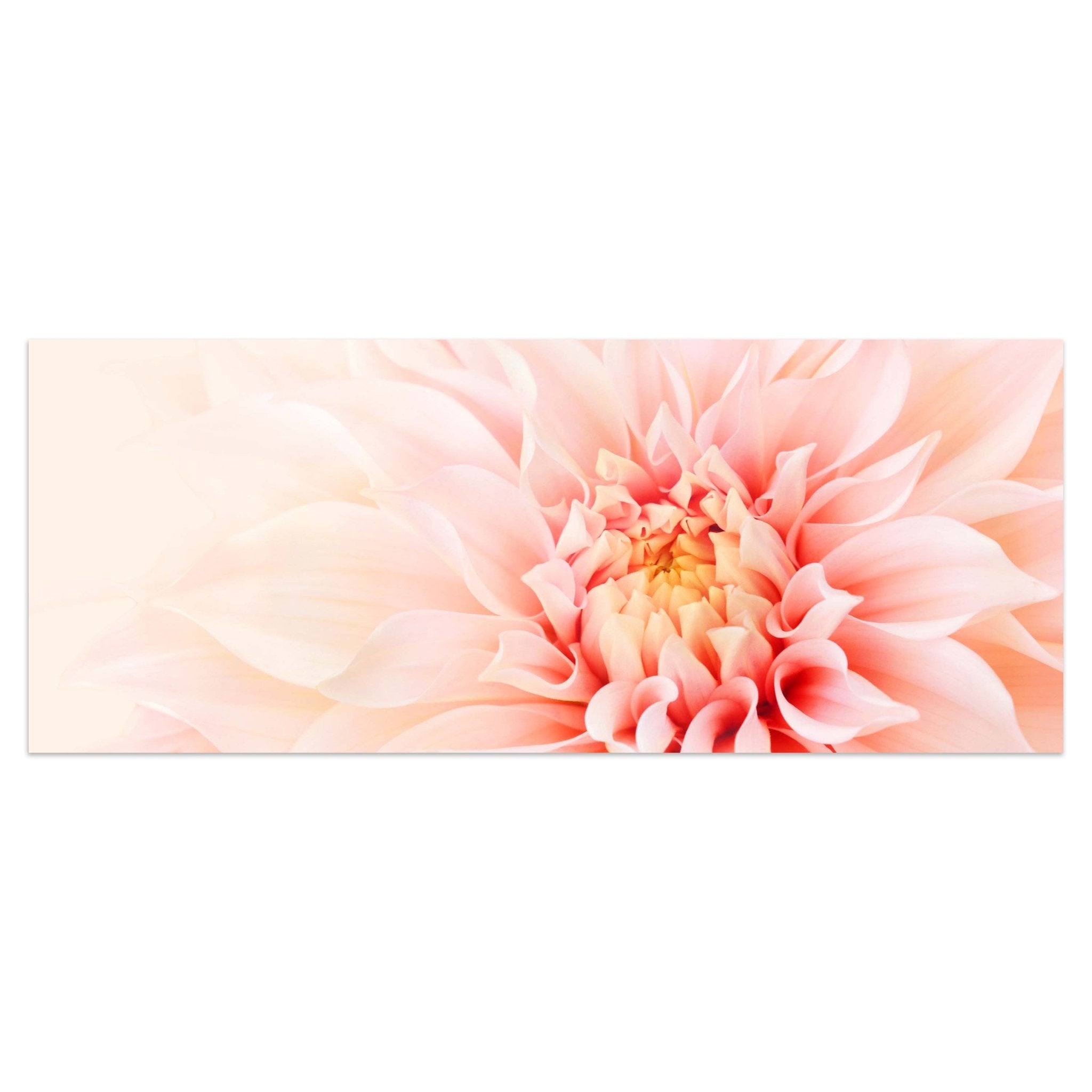 Leinwandbild Blüte Blume rosa Dahlie M1131 kaufen - Bild 1