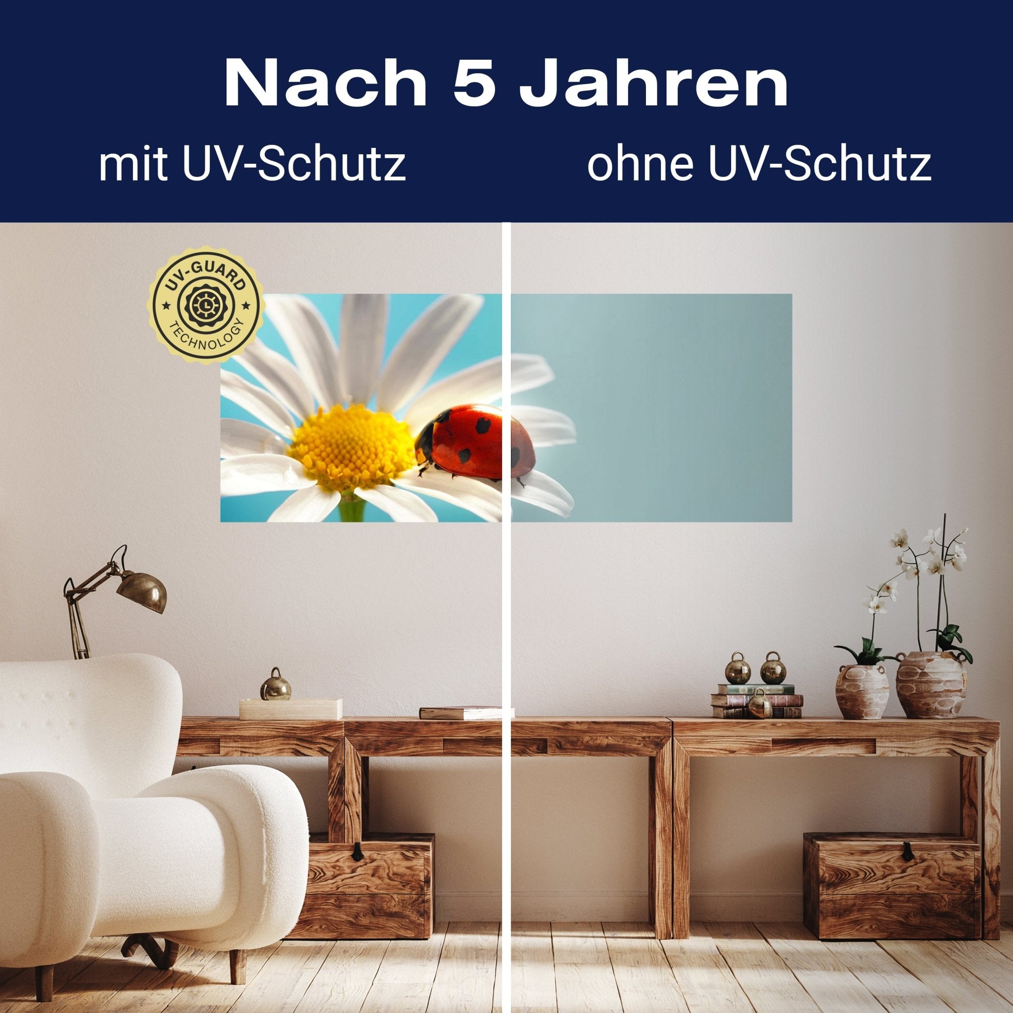 Leinwandbild Gänseblümchen Blüte Marienkäfer M1132 kaufen - Bild 9 Leinwandbild Gänseblümchen Blüte Marienkäfer M1132 kaufen - Bild 9