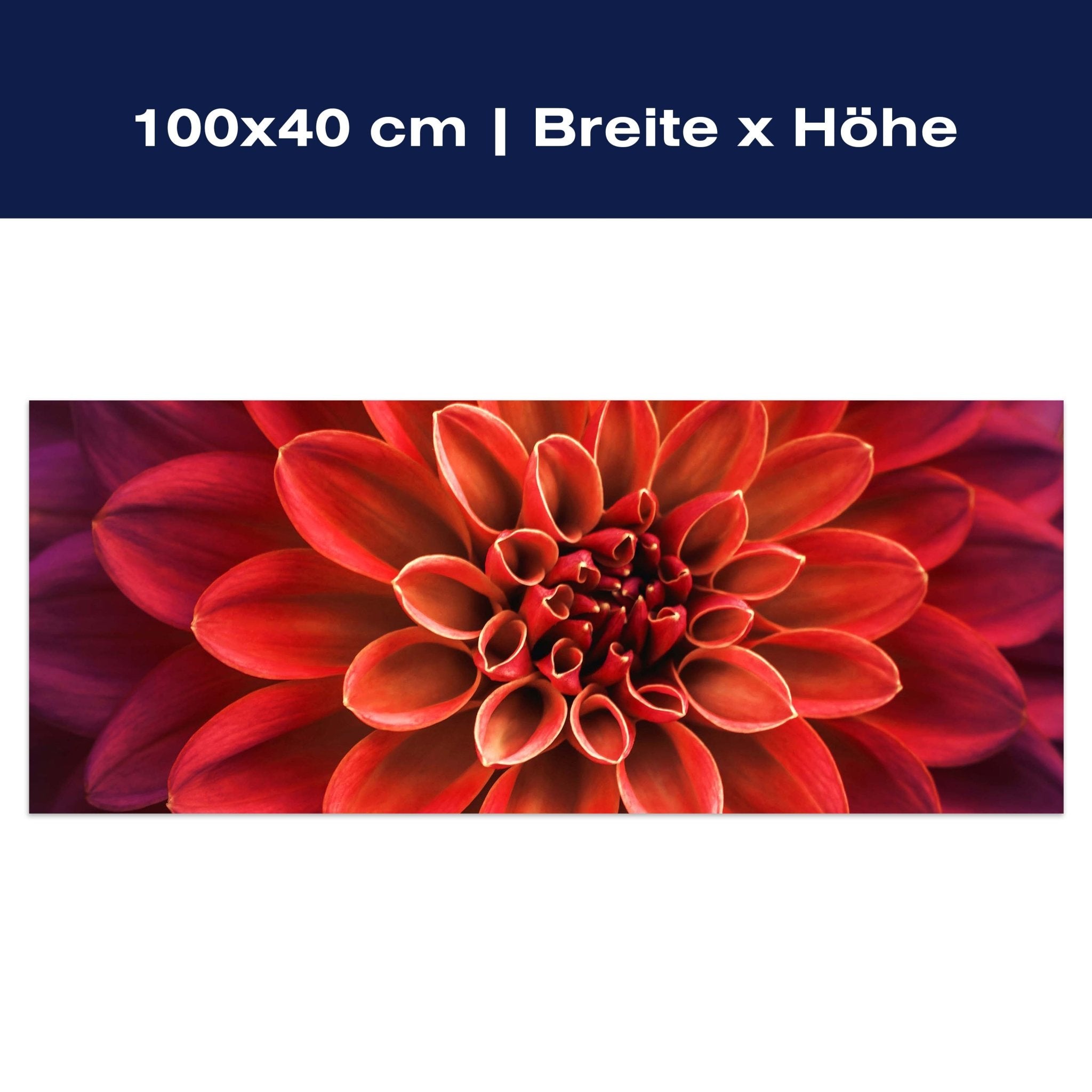 Leinwandbild Blüte Blume orange Dahlie violett M1133 Leinwandbild Blüte Blume orange Dahlie violett M1133