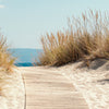Türtapete Holz-weg an den Strand, Gräser, Meer M1143