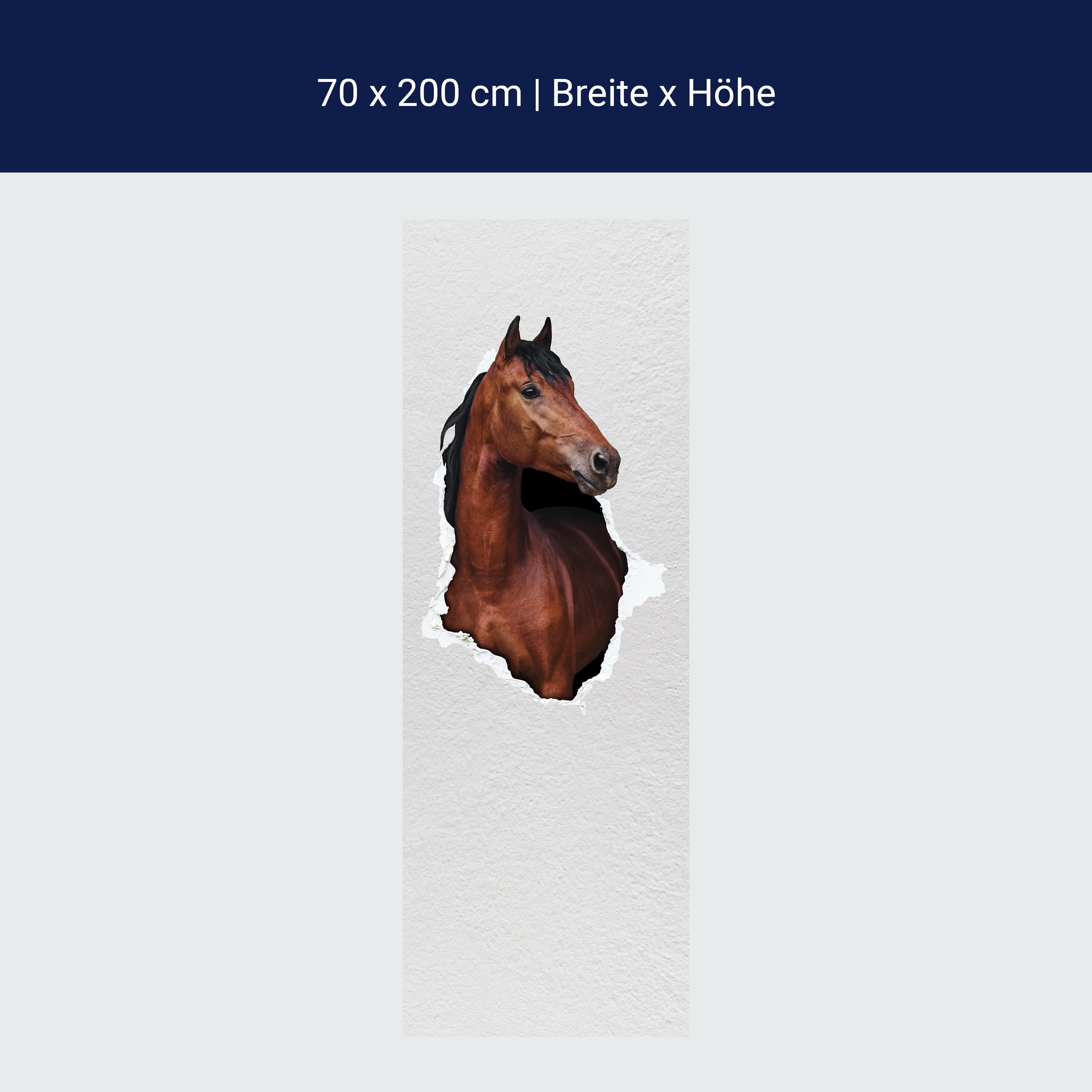 Türtapete braunes Pferd schaut durch Mauer, 3D M1155 Türtapete braunes Pferd schaut durch Mauer, 3D M1155