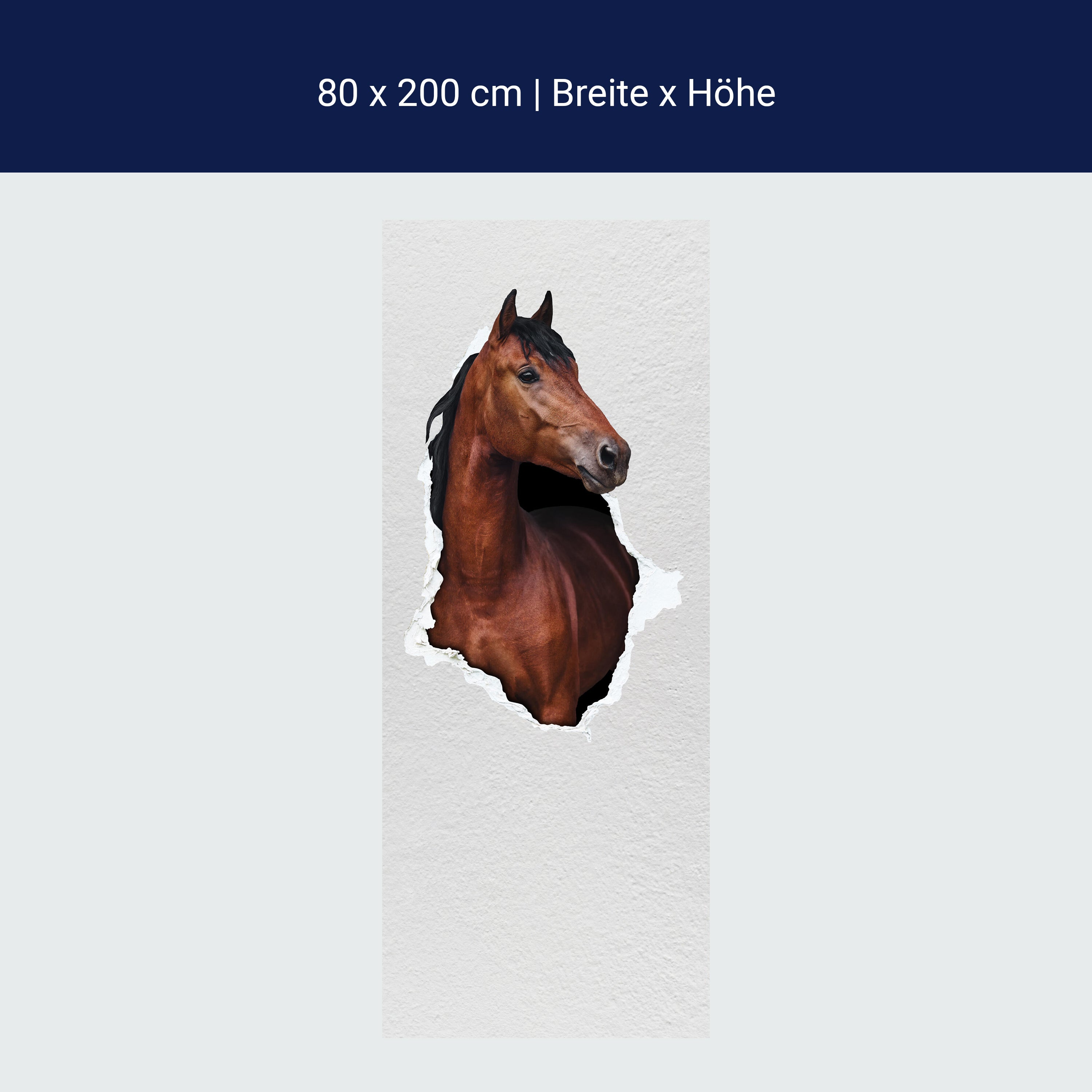 Türtapete braunes Pferd schaut durch Mauer, 3D M1155 Türtapete braunes Pferd schaut durch Mauer, 3D M1155