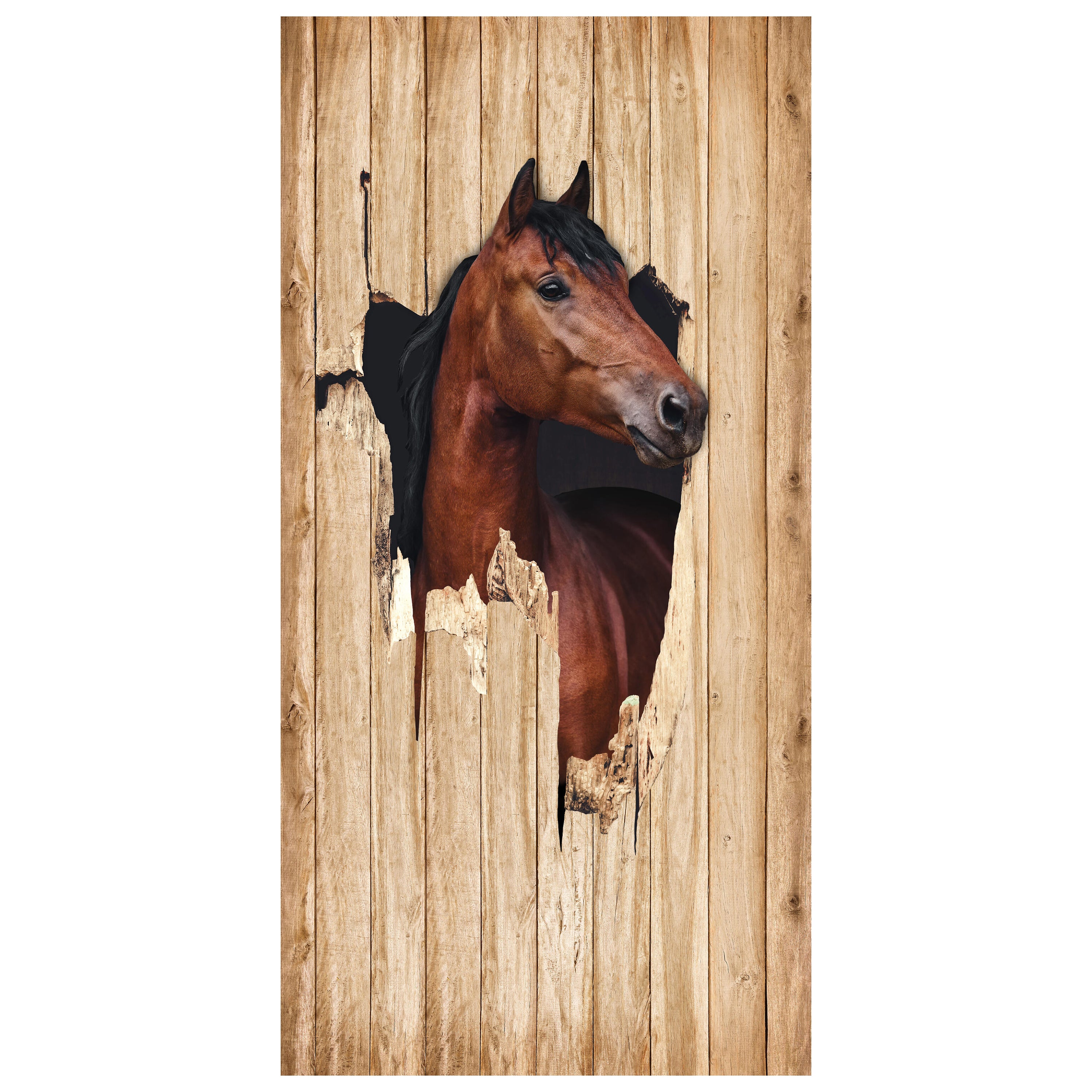 Türtapete braunes Pferd schaut durch Holzwand, 3D M1156 - Bild 2 Türtapete braunes Pferd schaut durch Holzwand, 3D M1156 - Bild 2