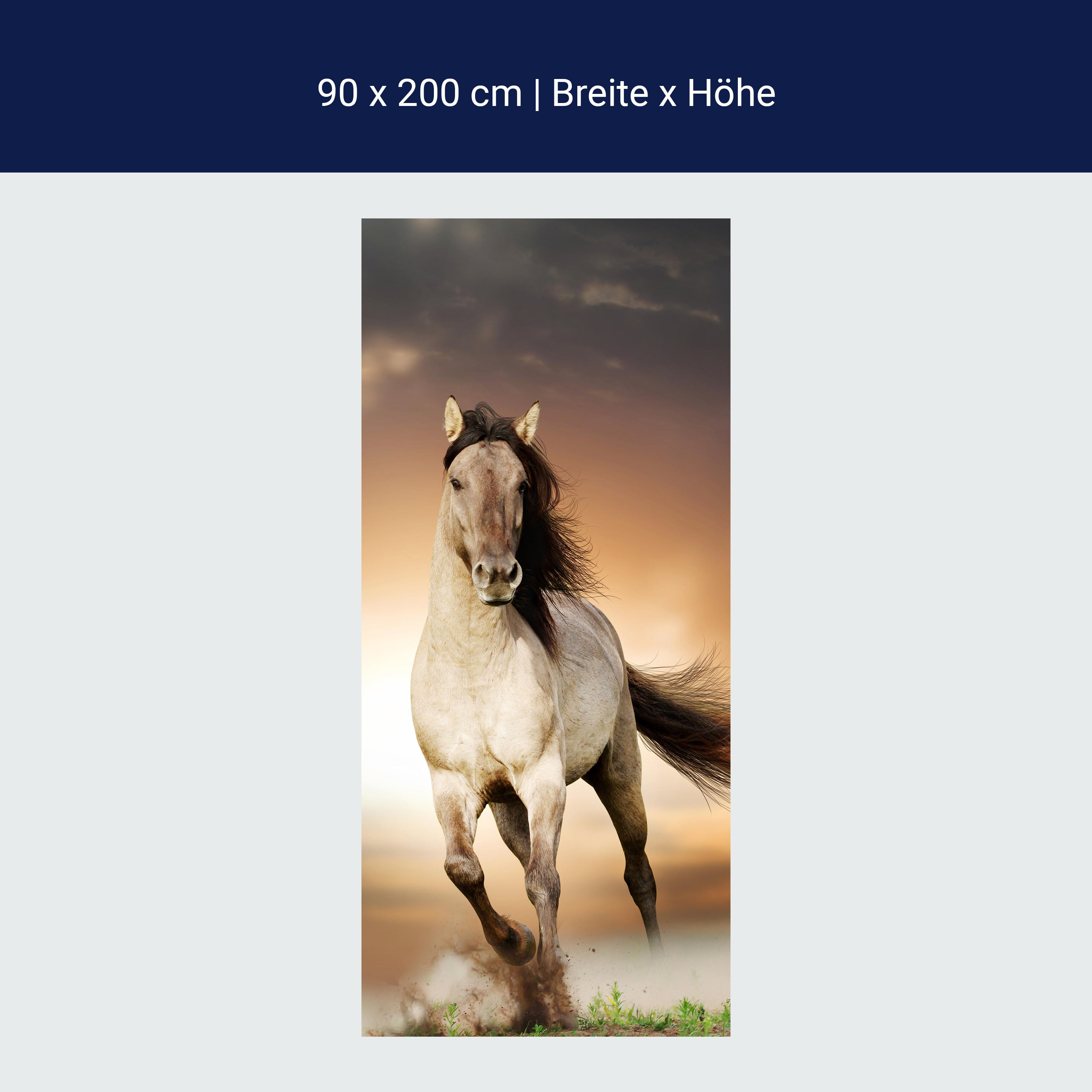 Türtapete Pferd rennt über Wiese, Schimmel, Weiß M1158 Türtapete Pferd rennt über Wiese, Schimmel, Weiß M1158