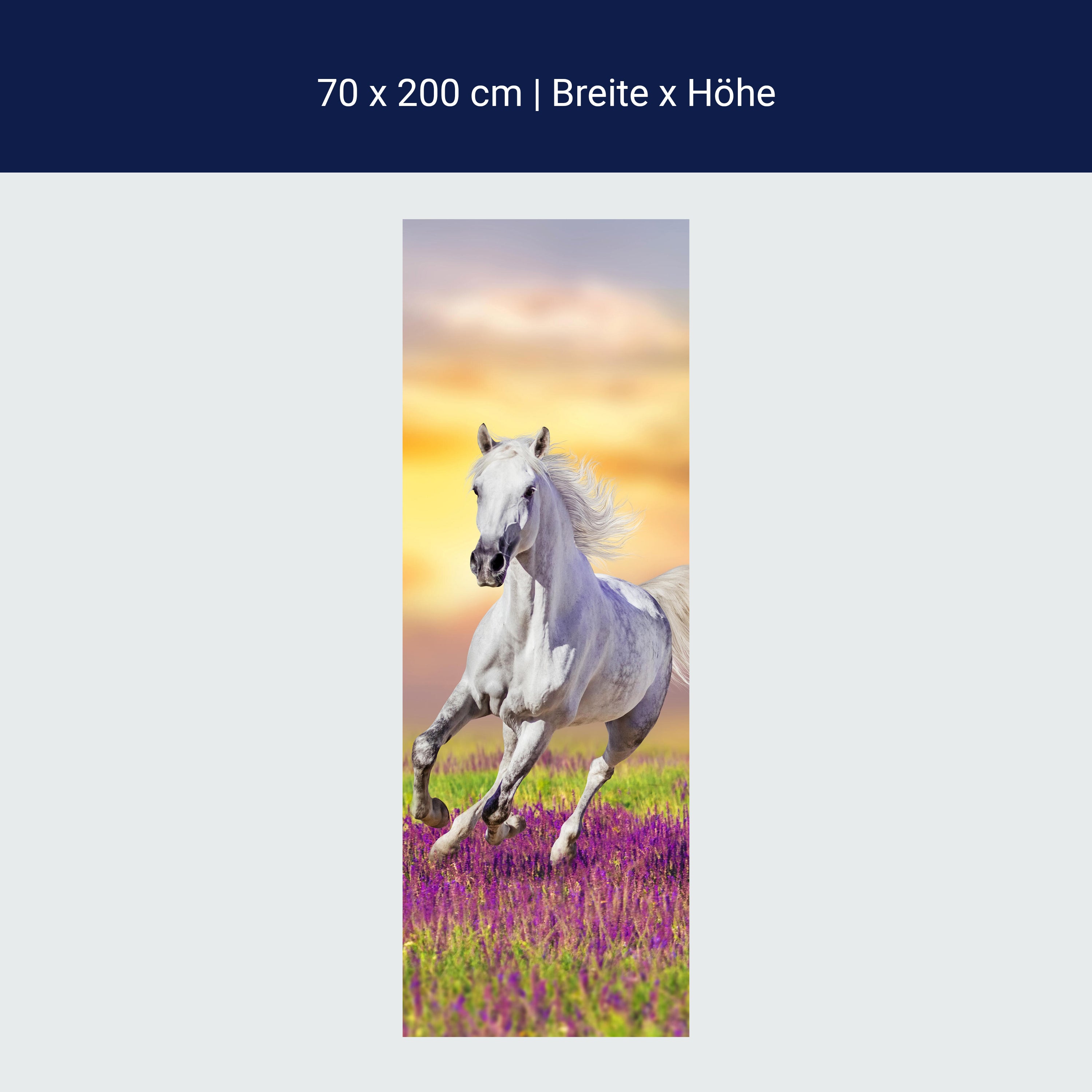 Türtapete Weißes Pferd galoppiert über Blumenwiese M1166 Türtapete Weißes Pferd galoppiert über Blumenwiese M1166