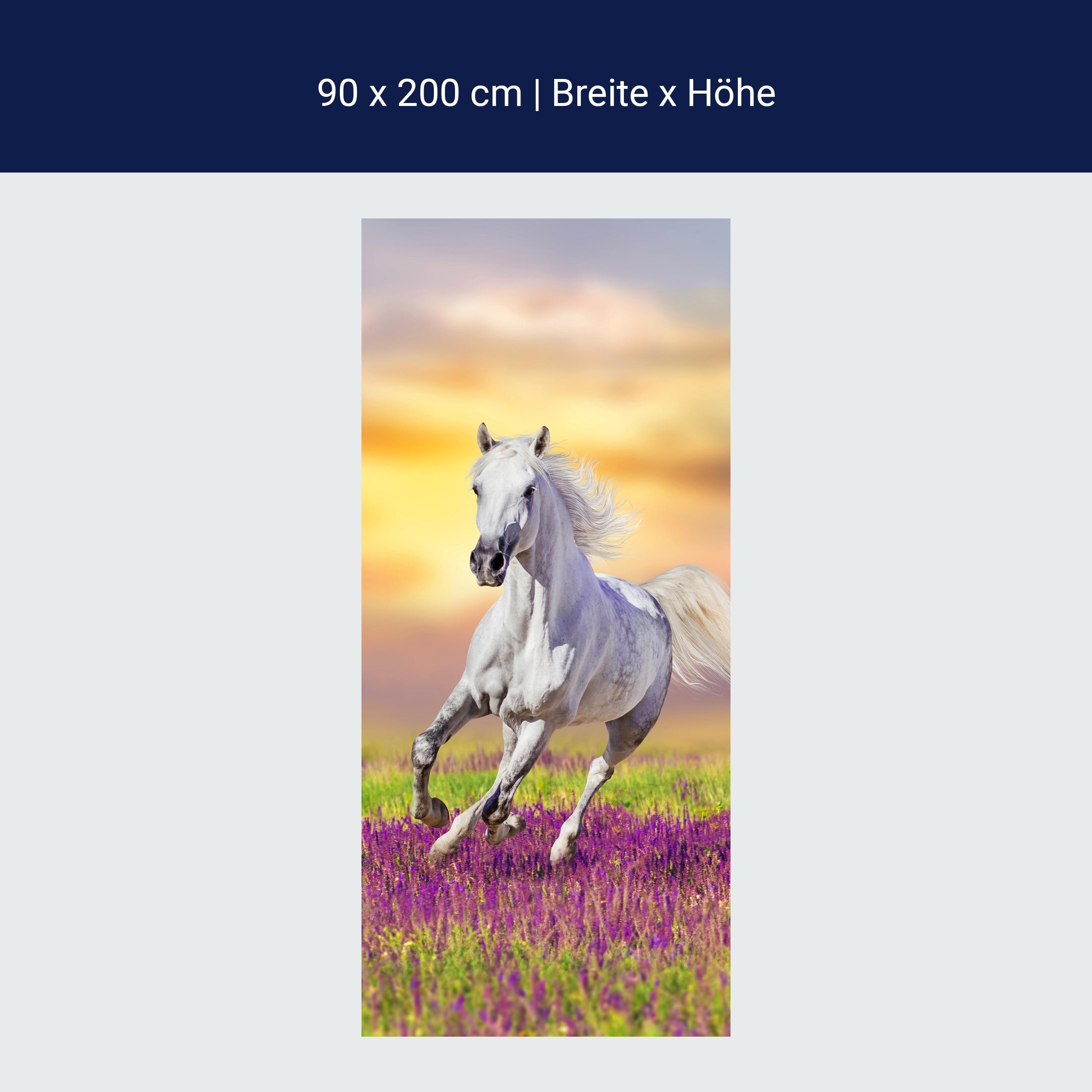 Türtapete Weißes Pferd galoppiert über Blumenwiese M1166 Türtapete Weißes Pferd galoppiert über Blumenwiese M1166