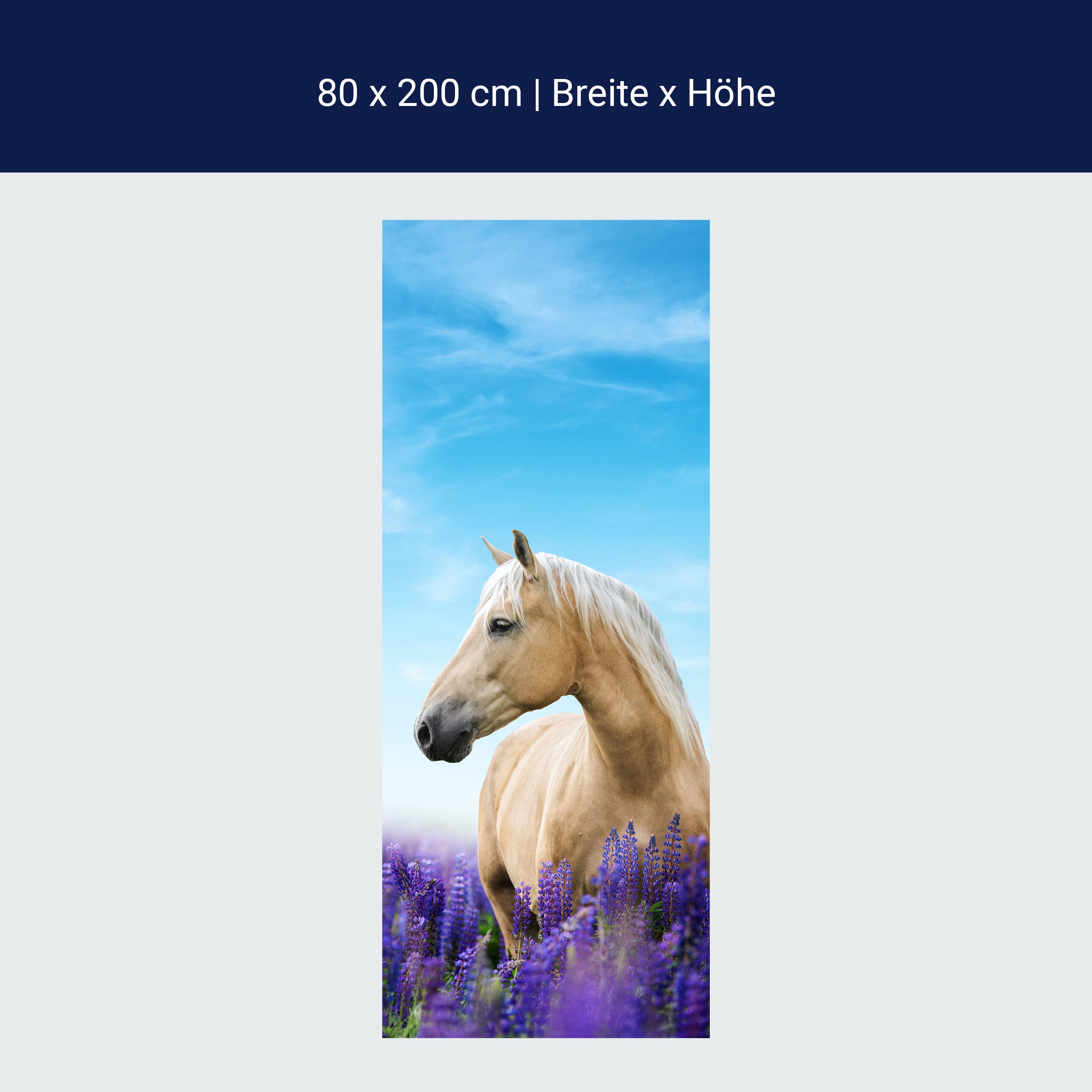 Türtapete Pferd in Lupinen Feld, Himmel, Lila M1170 Türtapete Pferd in Lupinen Feld, Himmel, Lila M1170