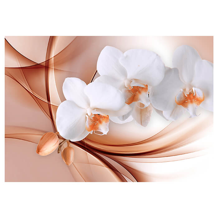 Fototapete Orange Orchidee M1172 - Bild 2 Fototapete Orange Orchidee M1172 - Bild 2