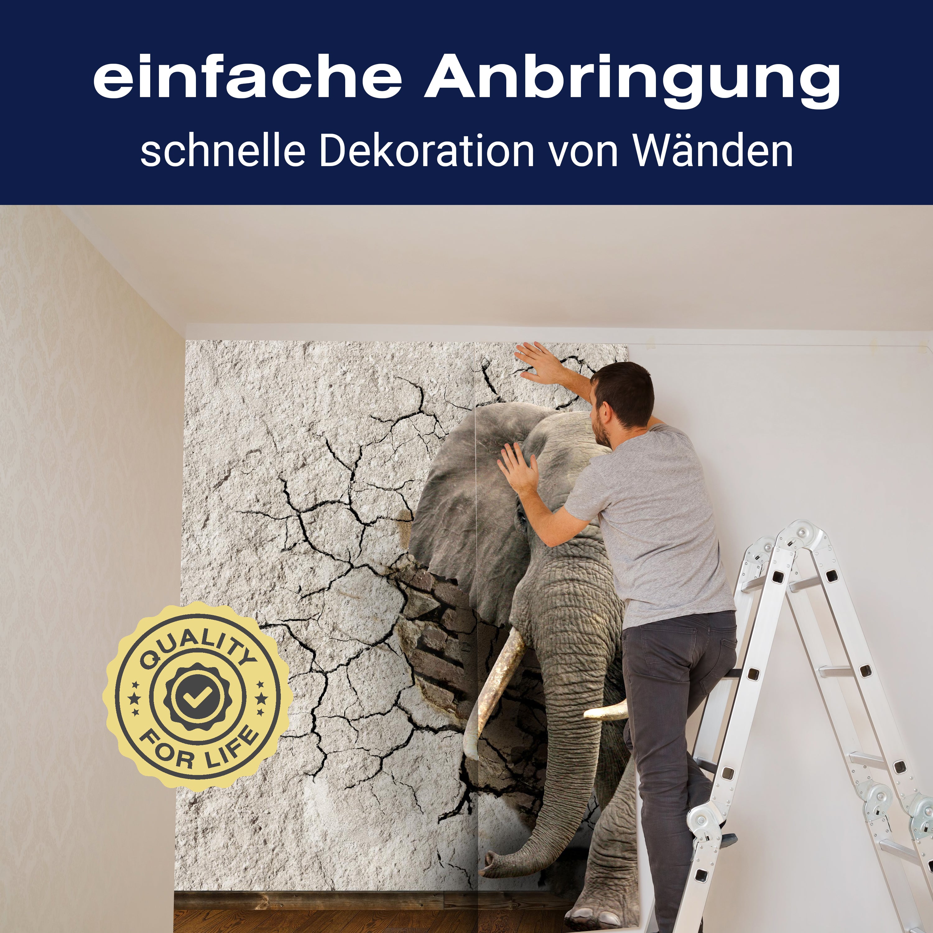 Fototapete Elefant 3D Wanddurchbruch M1238 - Bild 3 Fototapete Elefant 3D Wanddurchbruch M1238 - Bild 3