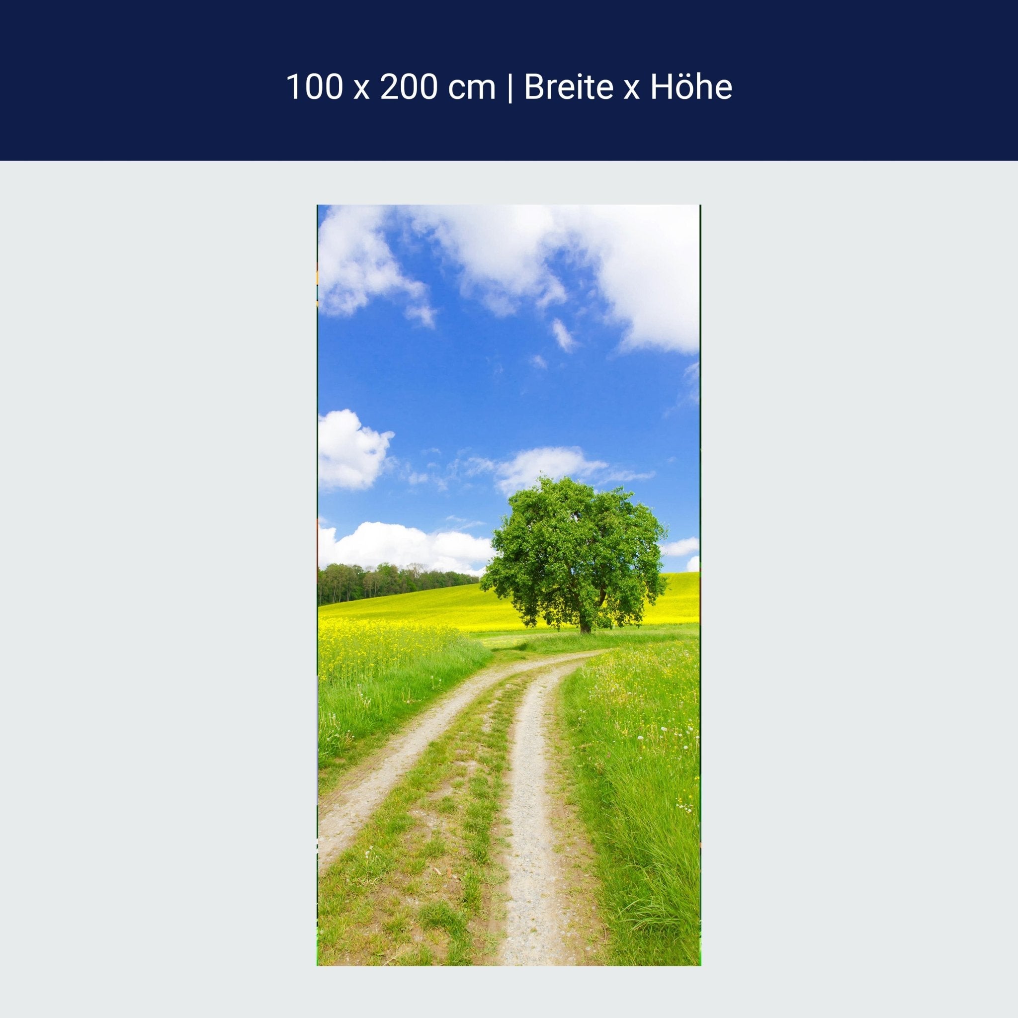 Türtapete Feldweg im Sommer, Baum, Feld, Himmel M1240 Türtapete Feldweg im Sommer, Baum, Feld, Himmel M1240