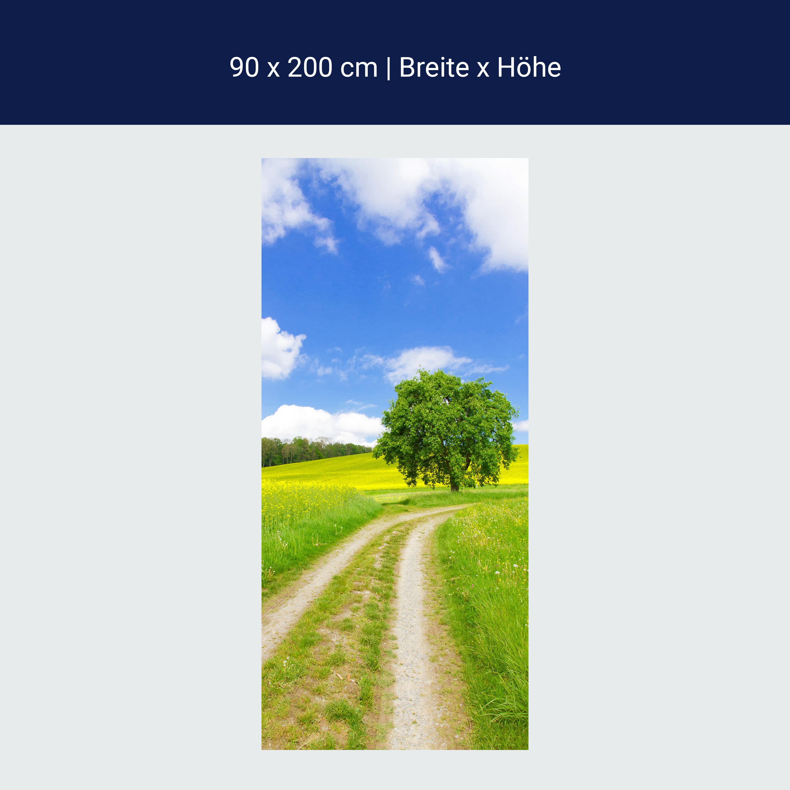 Türtapete Feldweg im Sommer, Baum, Feld, Himmel M1240 Türtapete Feldweg im Sommer, Baum, Feld, Himmel M1240