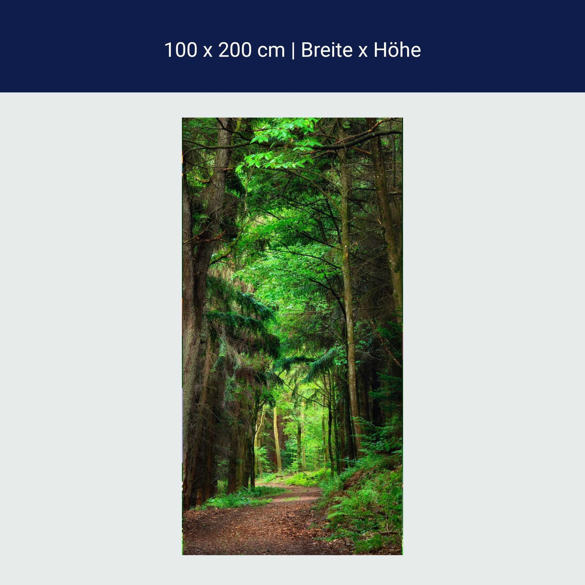 Türtapete Waldweg am Tag, Wälder, Bäume, Grün M1244 Türtapete Waldweg am Tag, Wälder, Bäume, Grün M1244