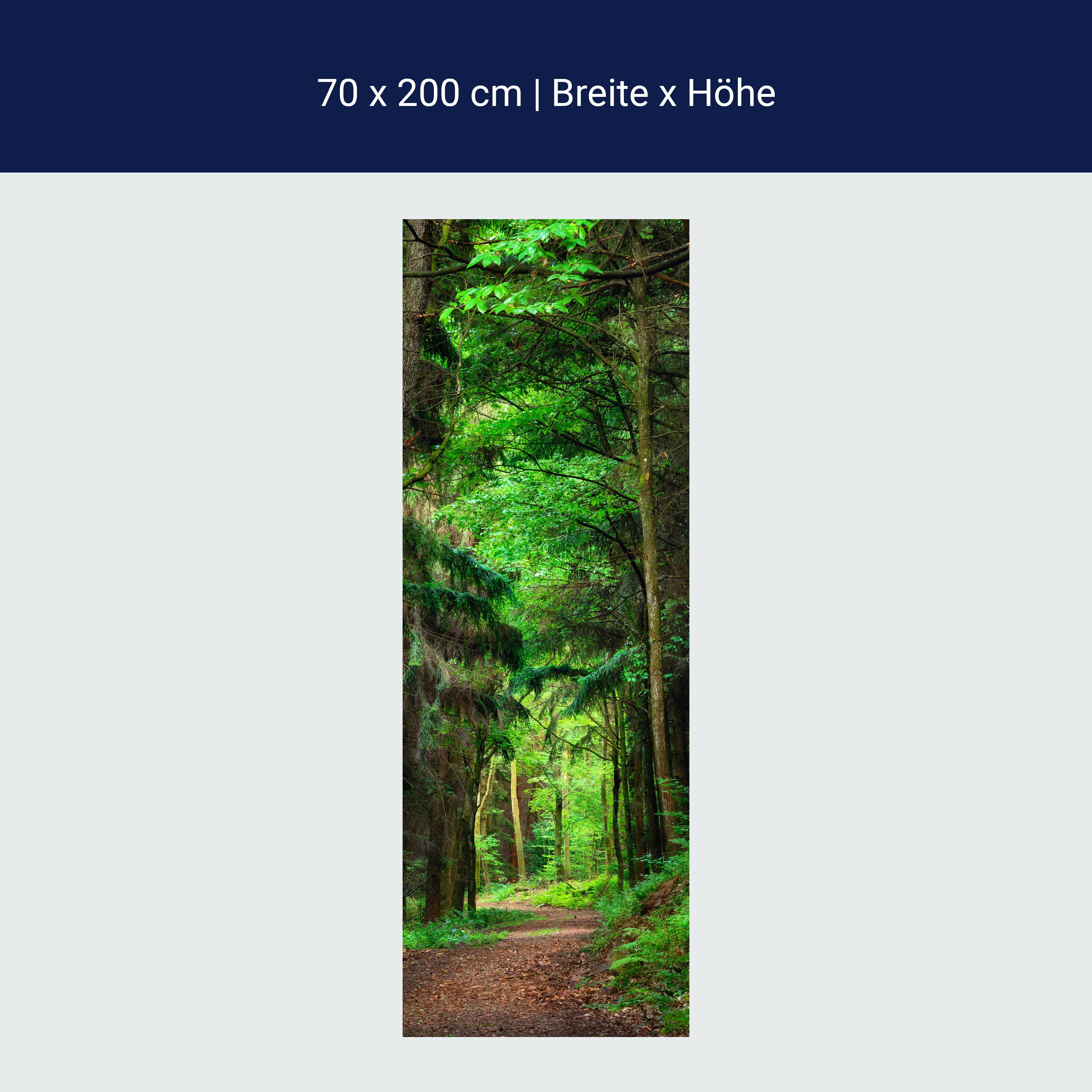Türtapete Waldweg am Tag, Wälder, Bäume, Grün M1244 Türtapete Waldweg am Tag, Wälder, Bäume, Grün M1244