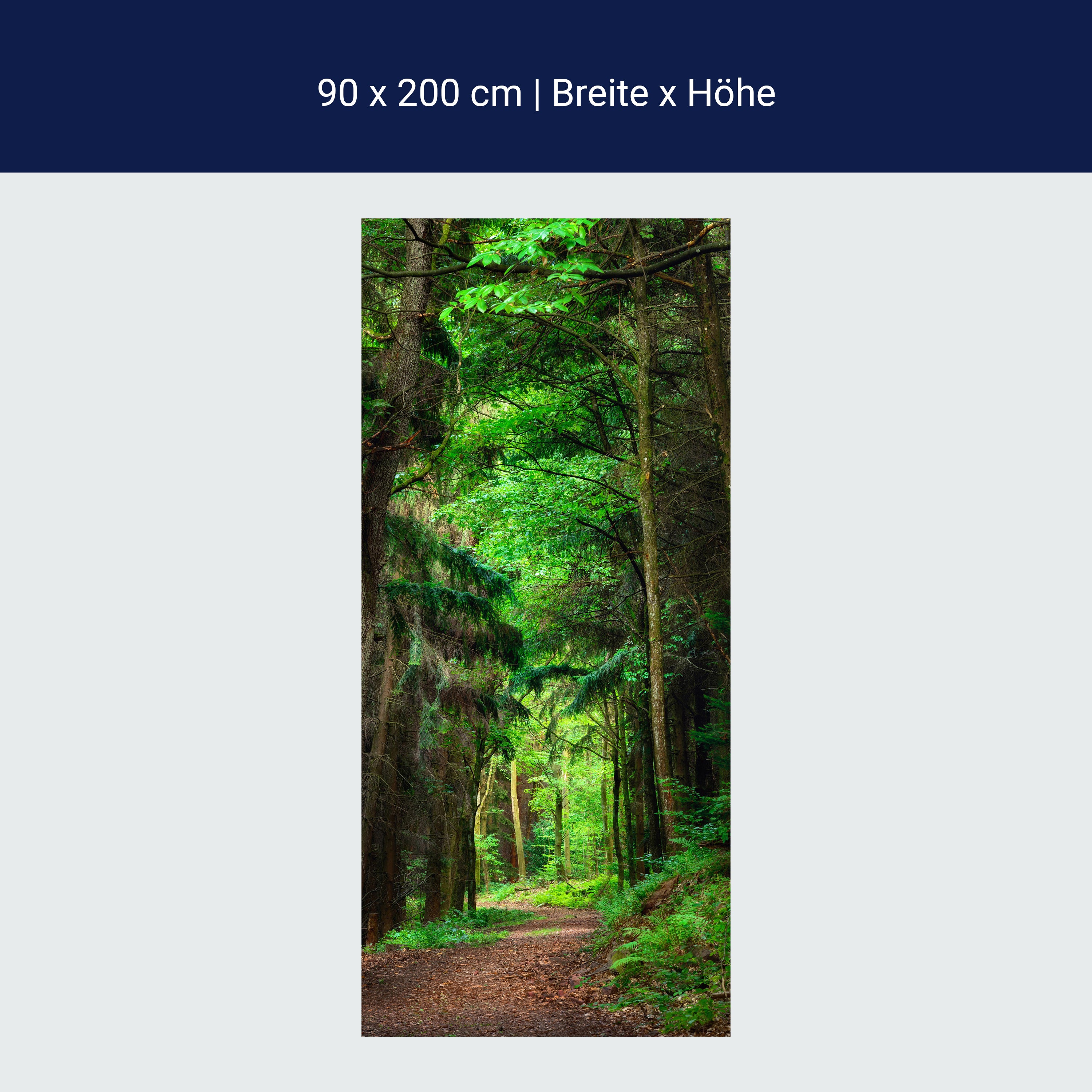Türtapete Waldweg am Tag, Wälder, Bäume, Grün M1244 Türtapete Waldweg am Tag, Wälder, Bäume, Grün M1244