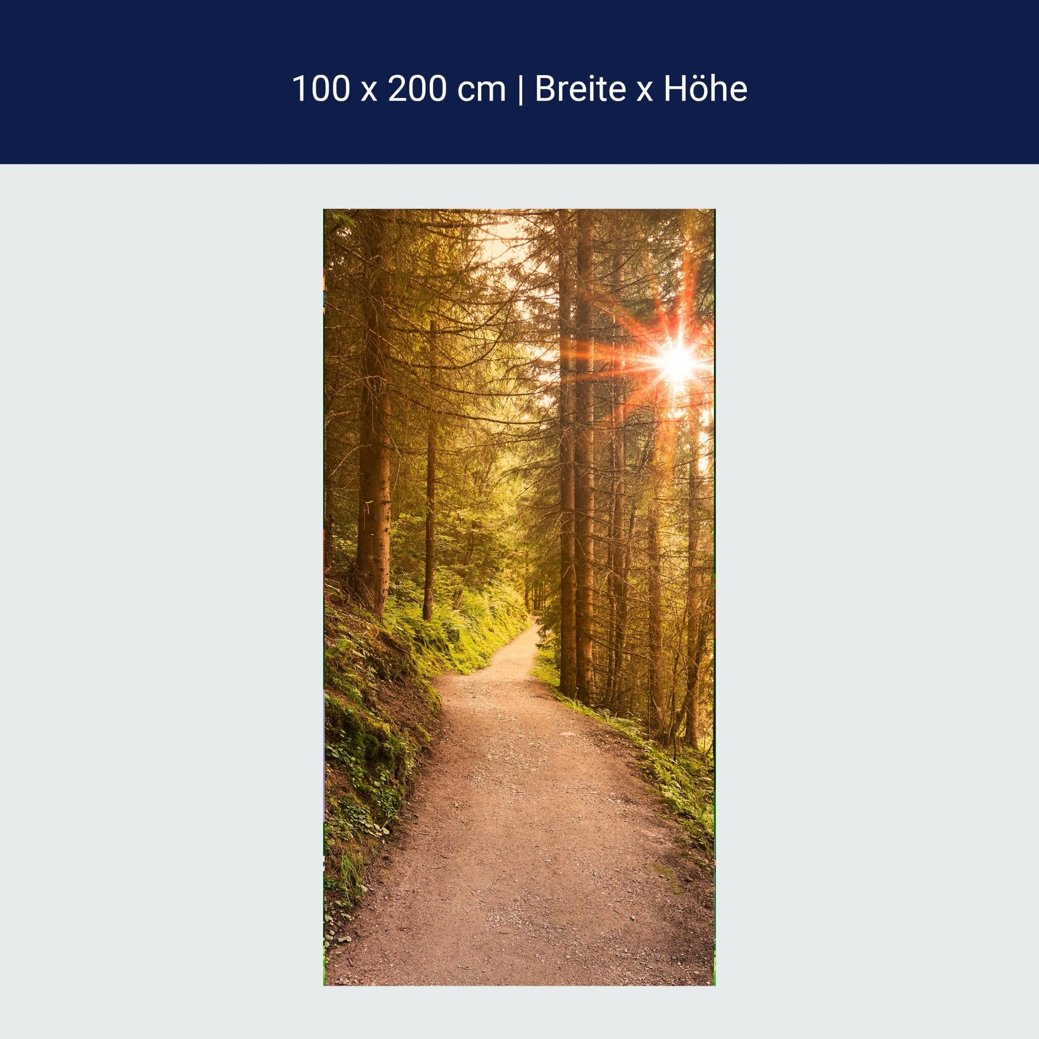 Türtapete Waldweg am Abend, Sonne, Wald M1248 Türtapete Waldweg am Abend, Sonne, Wald M1248