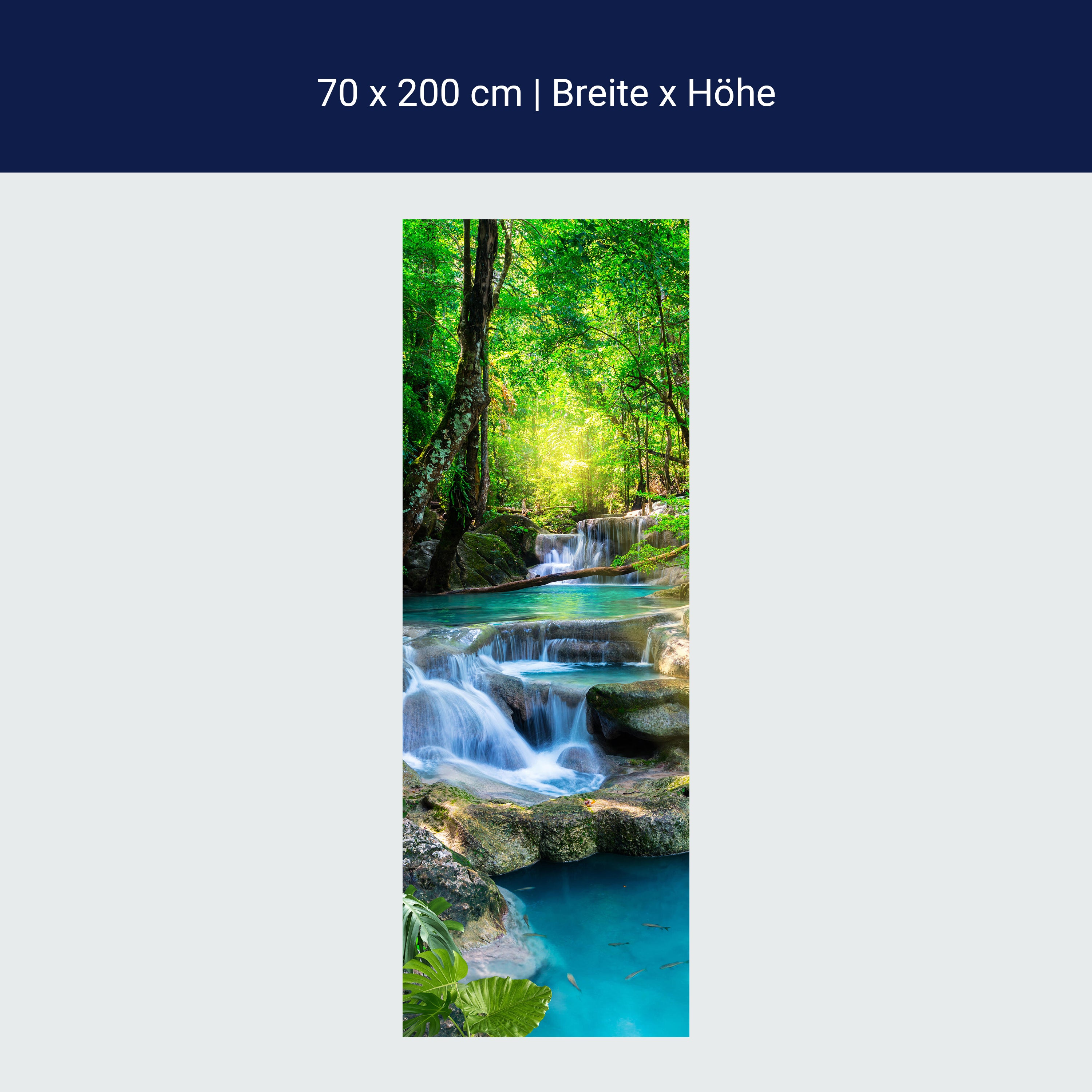 Türtapete Wasser Treppen im Wald, Natur, Bäume M1295 Türtapete Wasser Treppen im Wald, Natur, Bäume M1295